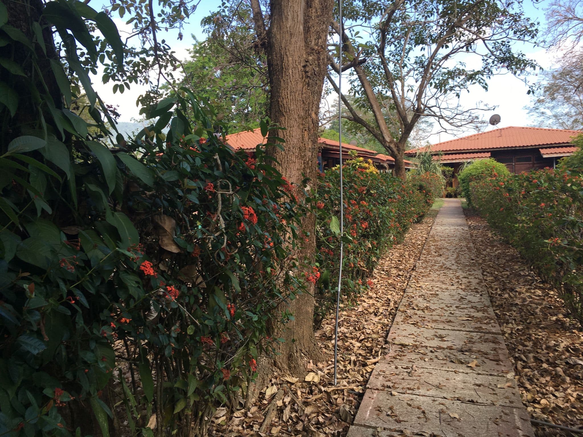 Street view near Hotel Canto De Las Ballenas, Uvita — © cse09 (CC BY-SA · Mapillary)