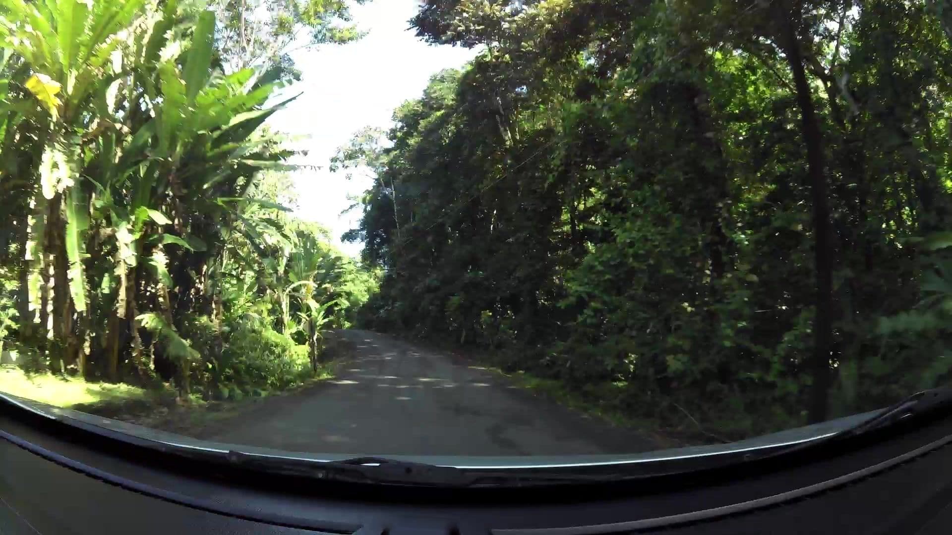 Street view near El Colibrí Lodge, Sixaola — © kaartcam (CC BY-SA · Mapillary)
