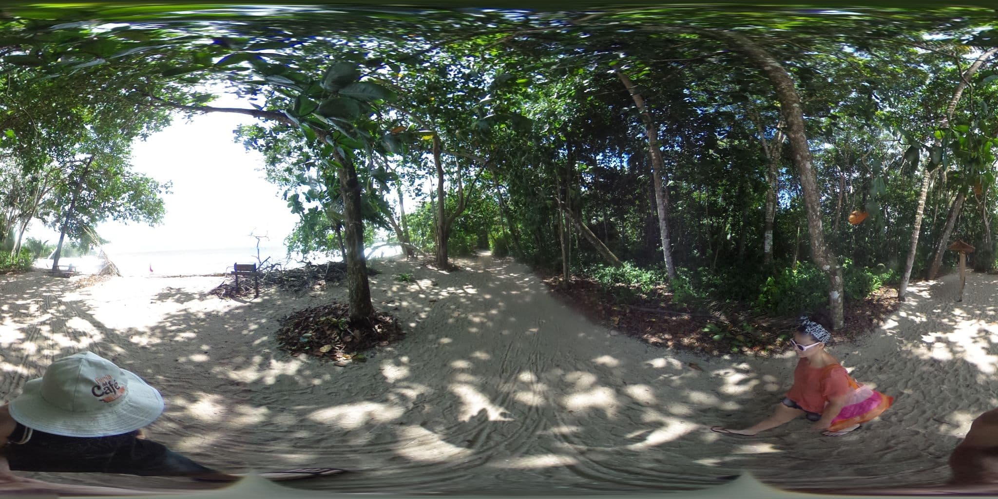 Street view near Lodge Verde, Limón — © elopio (CC BY-SA · Mapillary)