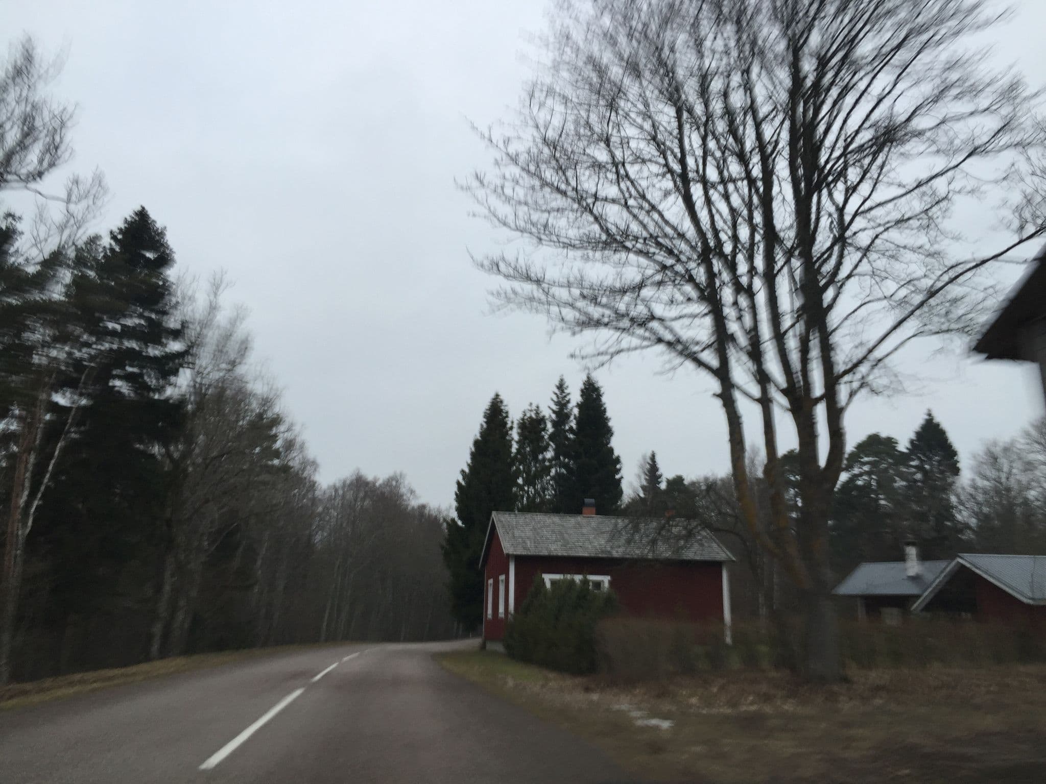 Street view near Saarepuhkus, Kuressaare — © richlv (CC BY-SA · Mapillary)