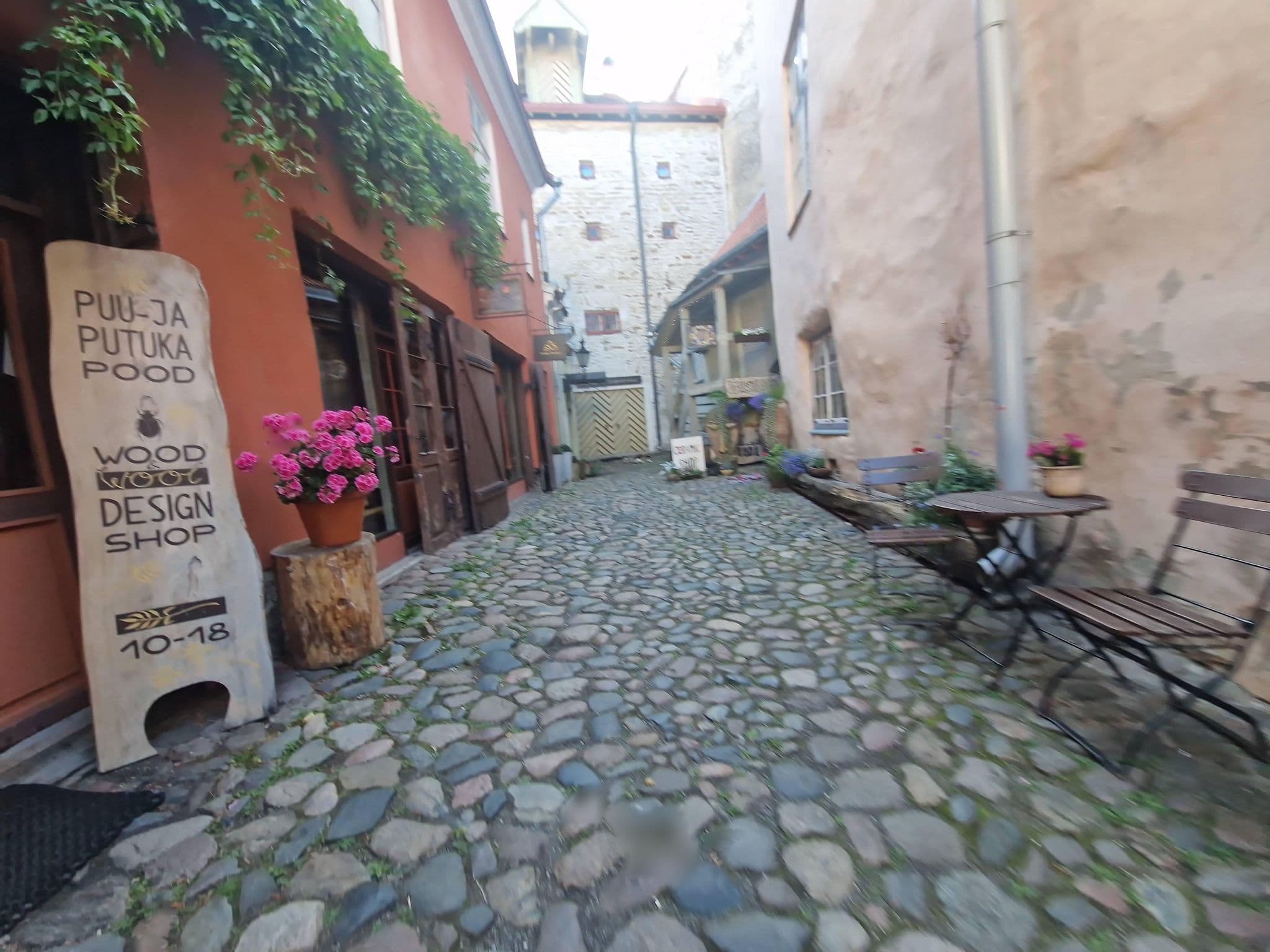 Street view near Villa Hortensia, Tallinn — © houtari (CC BY-SA · Mapillary)