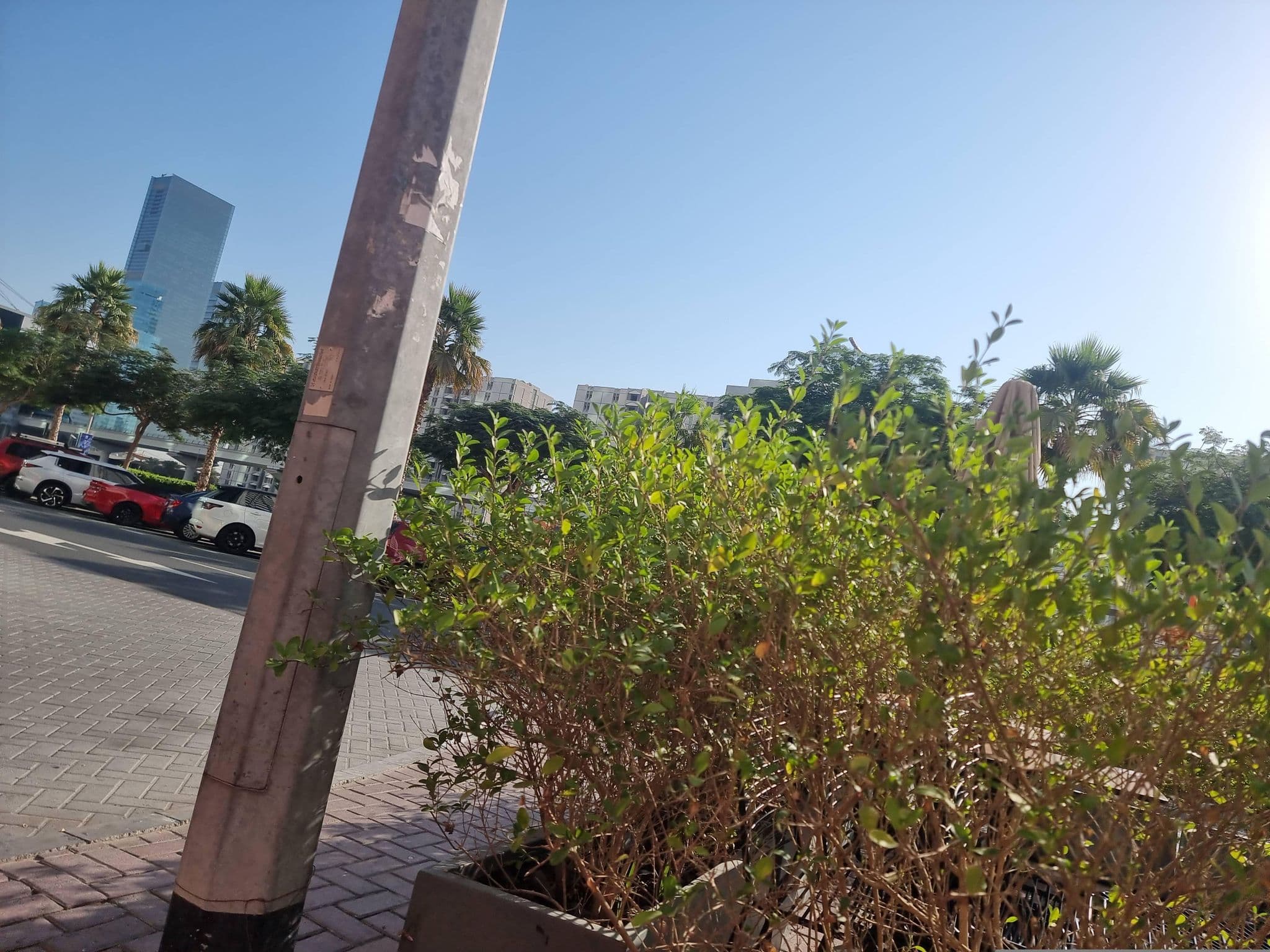 Street view near Radisson Royal Hotel, As Saţwah — © mapfool (CC BY-SA · Mapillary)