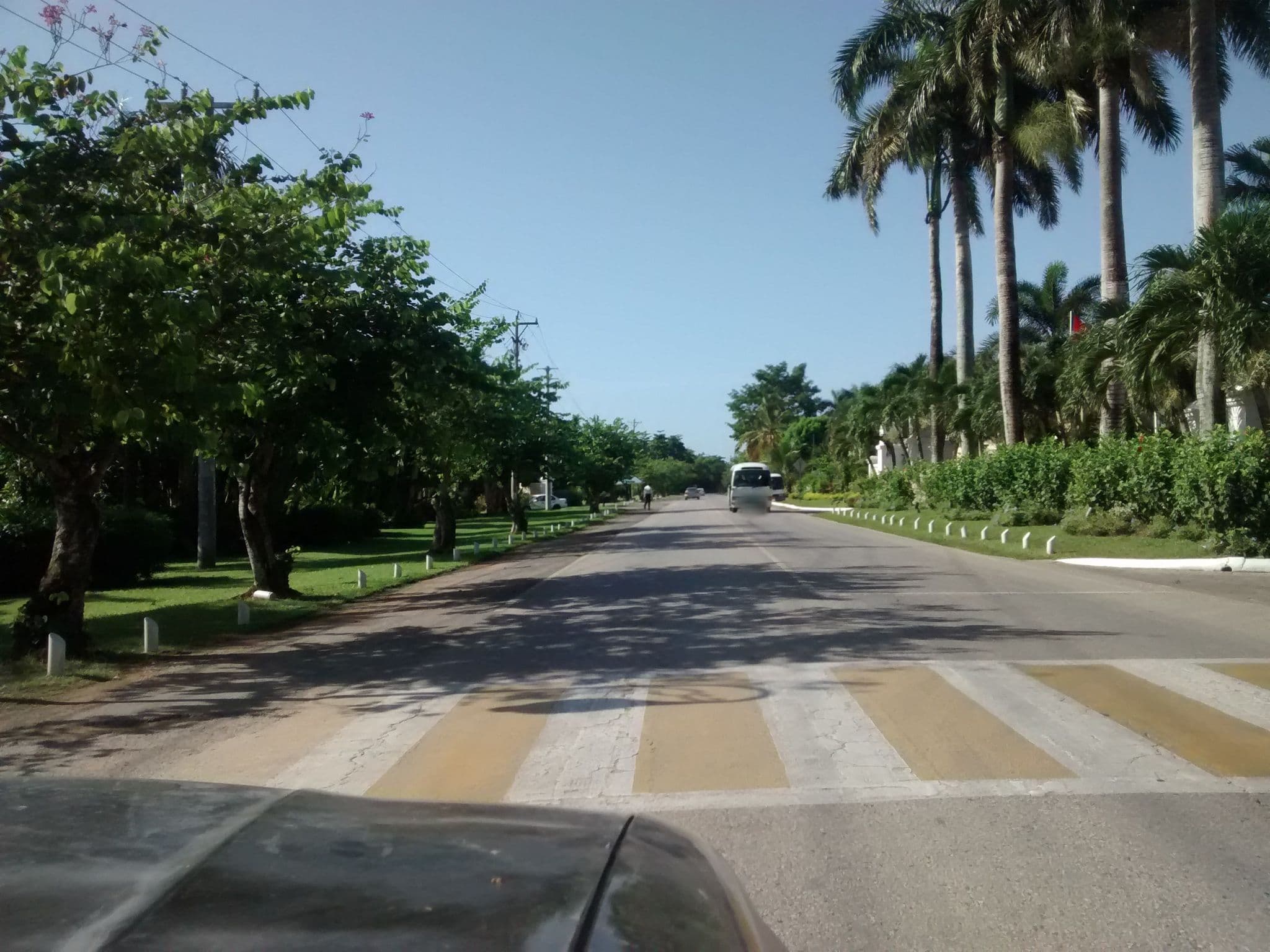 Street view near Main Pool Bar, Orange Bay — © seanogreen (CC BY-SA · Mapillary)