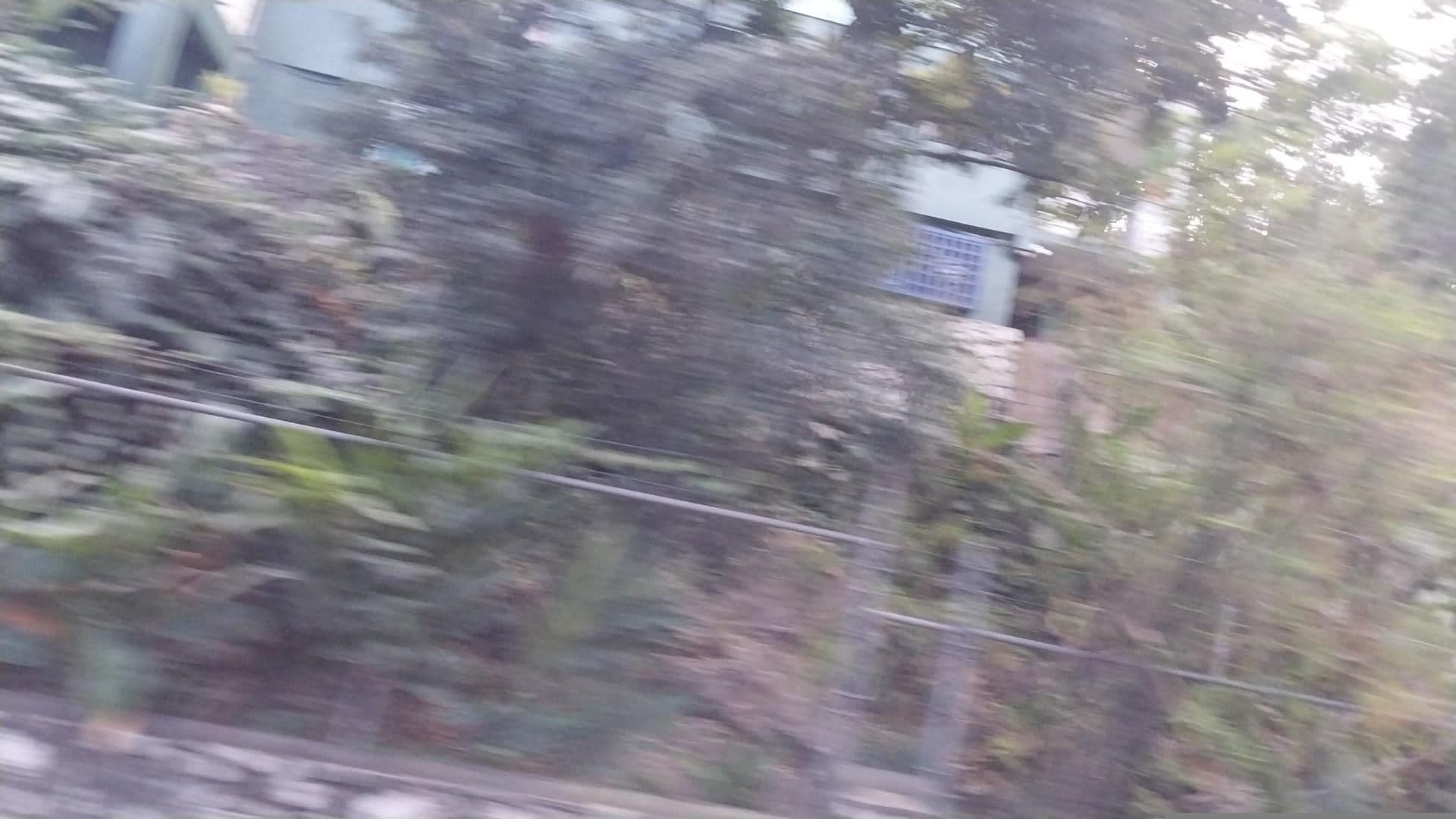 Street view near Mynt Retreat, Montego Bay — © bukenyajanan1 (CC BY-SA · Mapillary)