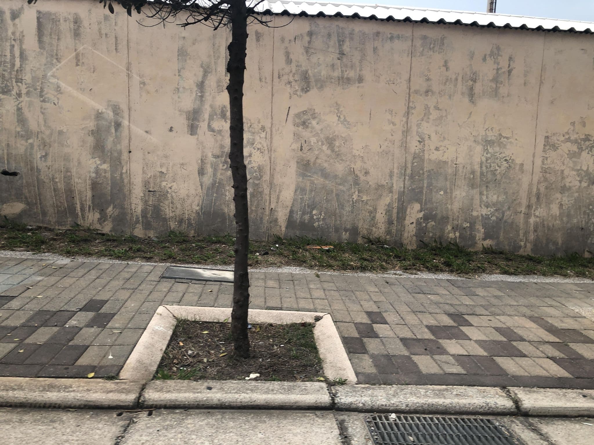 Street view near 澎湖警光會館, Magong — © monica_migu (CC BY-SA · Mapillary)