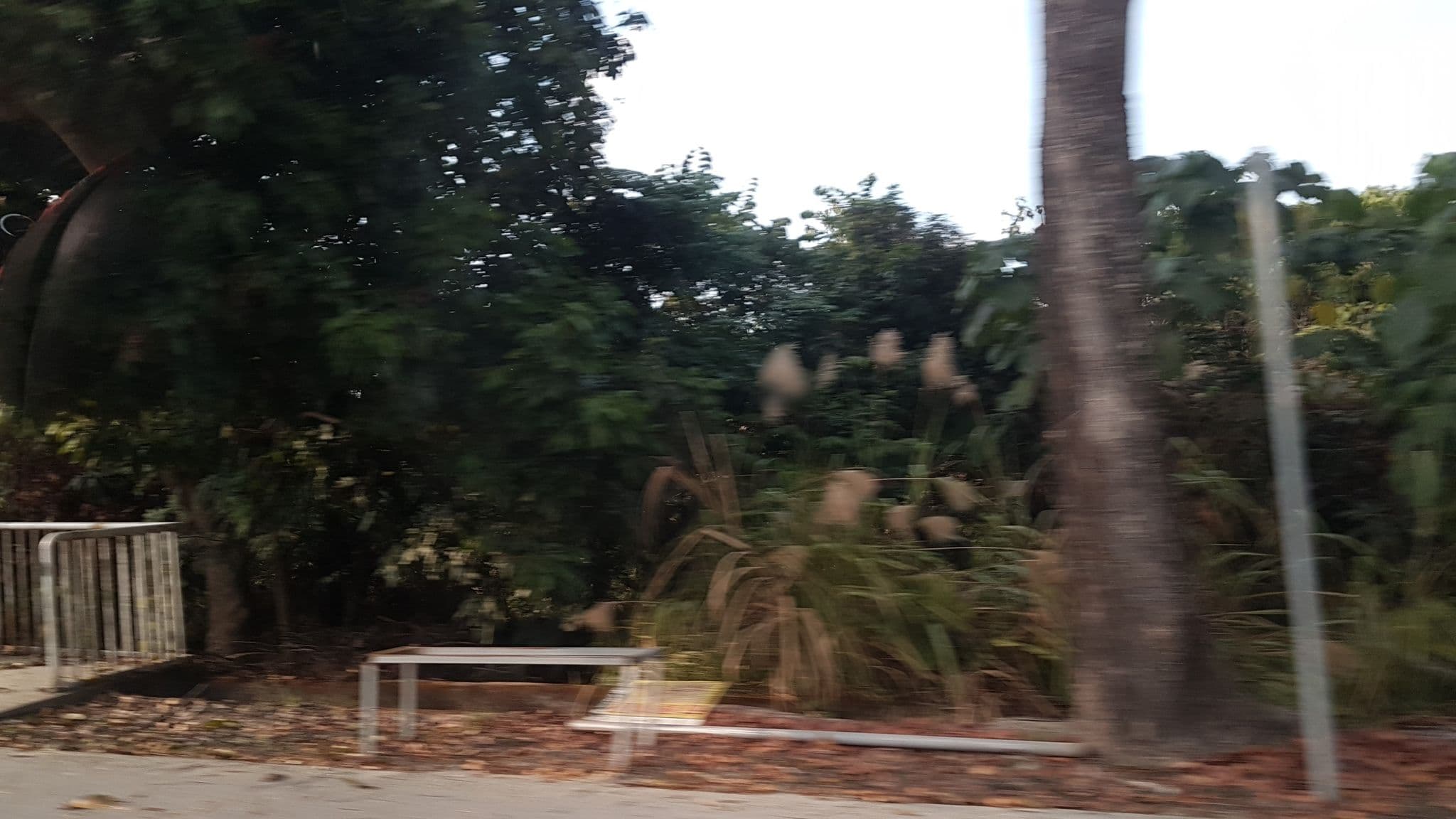 Street view near 丞翔園農莊民宿, Chiayi City — © supaplex (CC BY-SA · Mapillary)