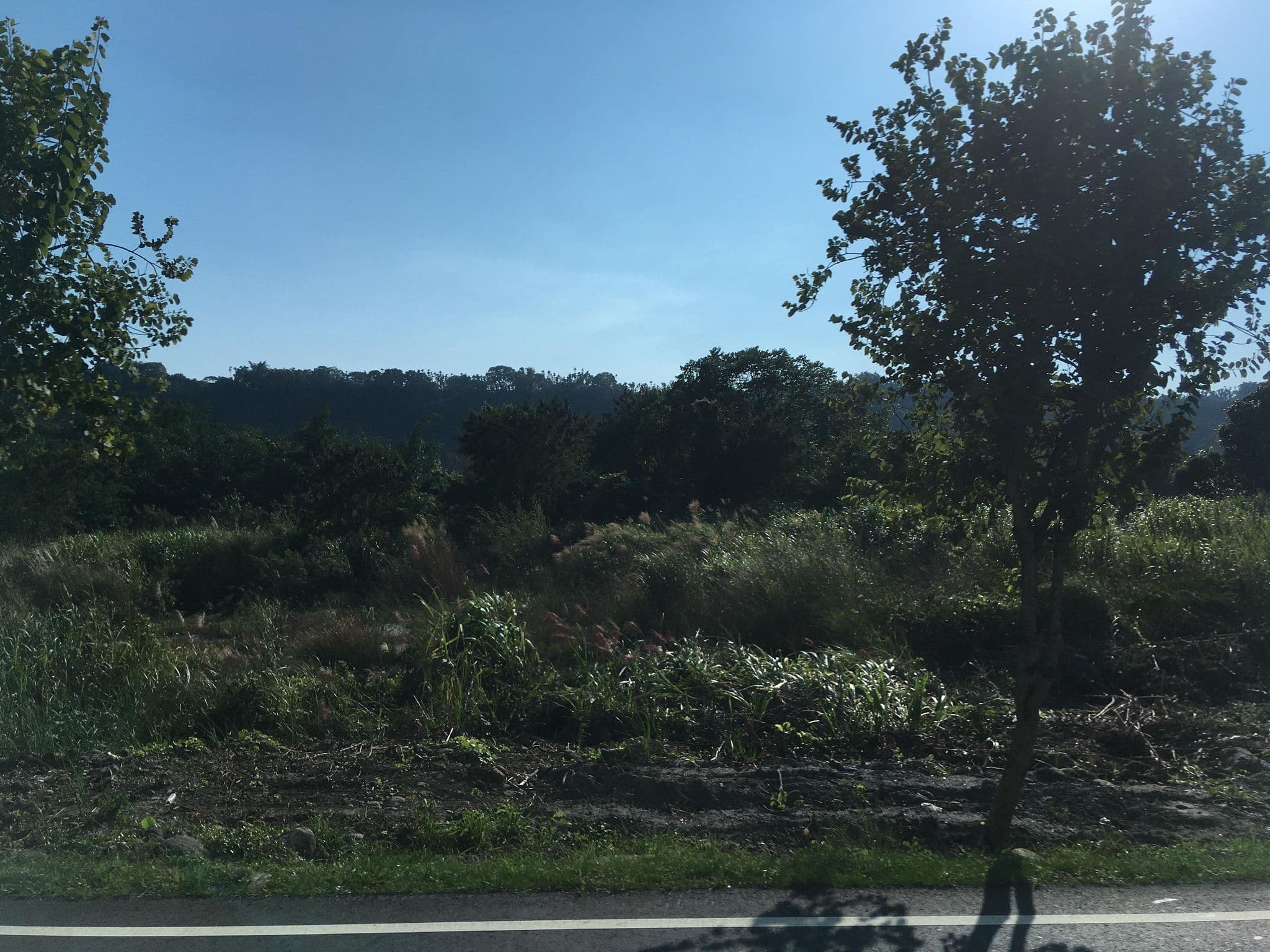 Street view near 阿里山禾楓別墅, Chiayi City — © ChenJJ (CC BY-SA · Mapillary)