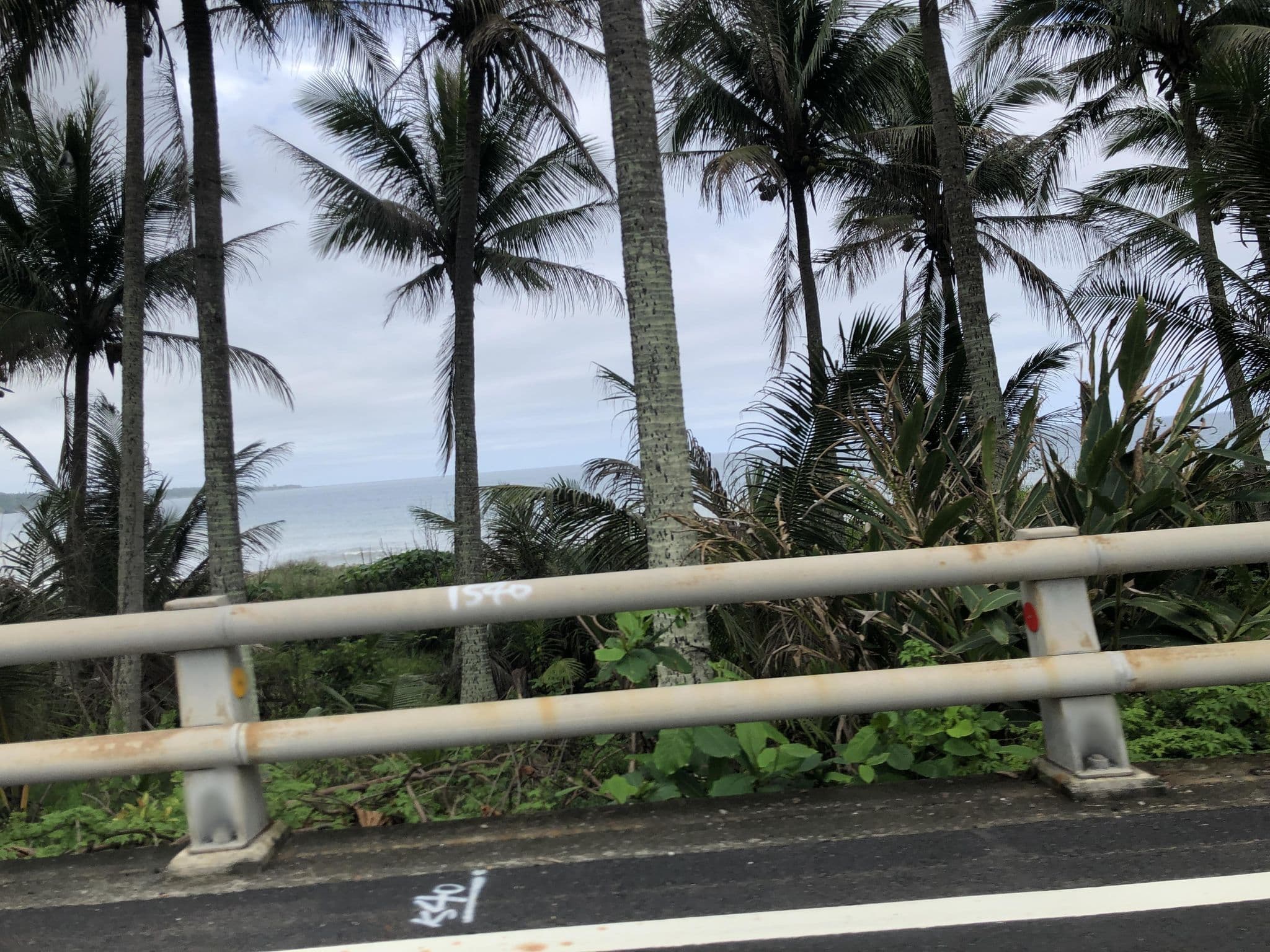 Street view near 椰子海岸民宿, Taitung — © monica_migu (CC BY-SA · Mapillary)