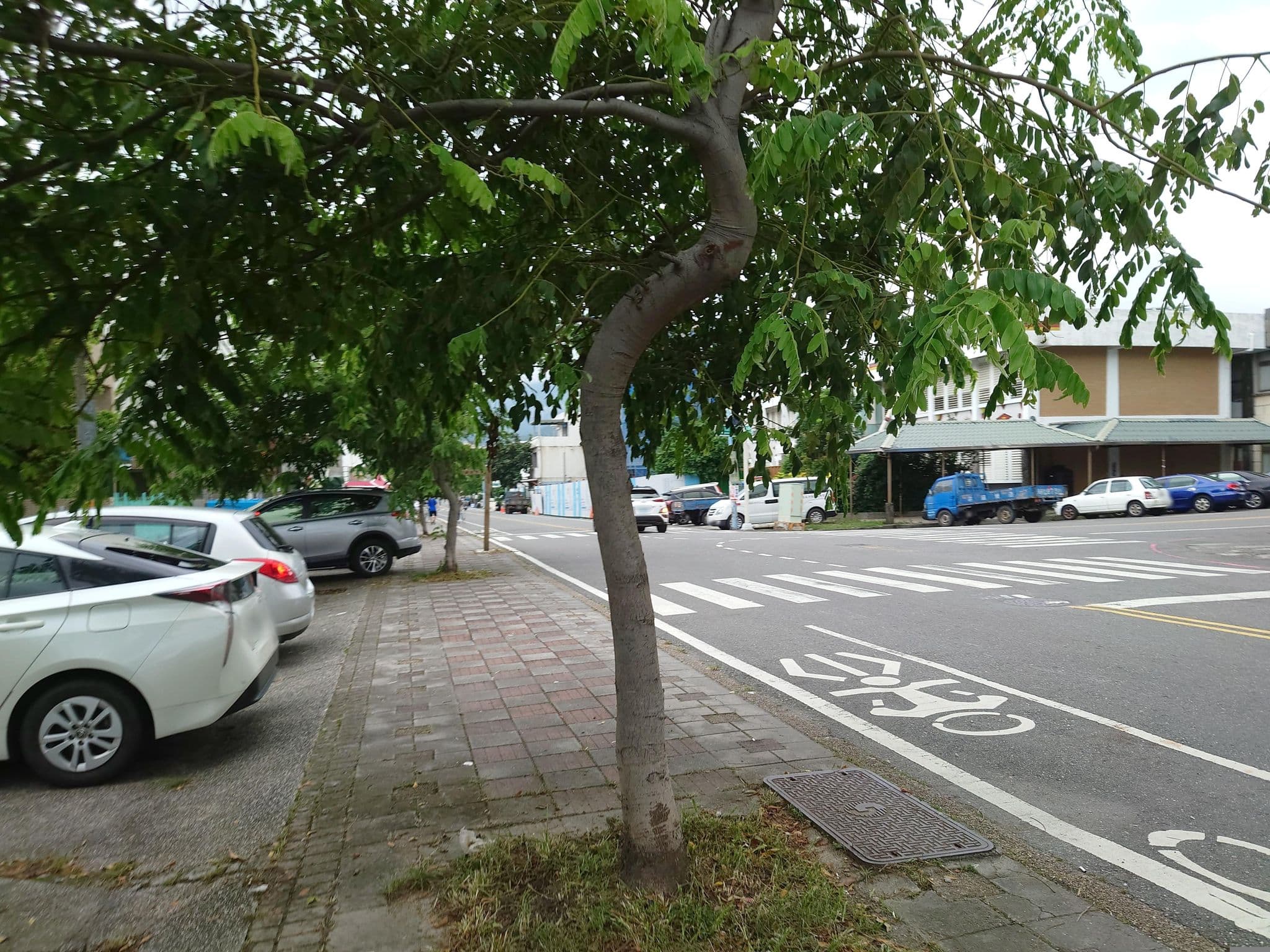 Street view near 慶濱大旅社, Chishang — © alllenwang (CC BY-SA · Mapillary)