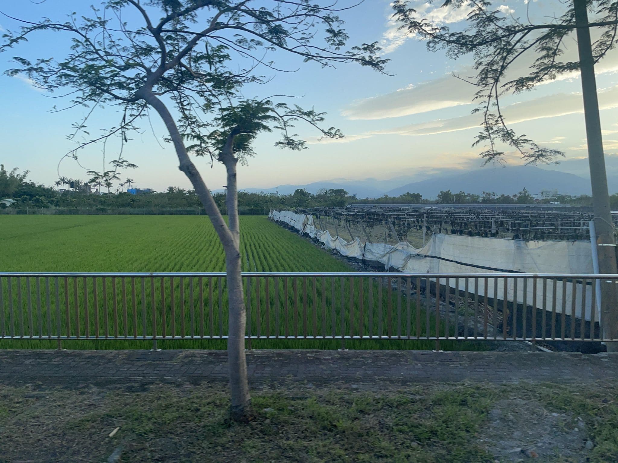 Street view near 月光夏, Taitung — © ChenJJ (CC BY-SA · Mapillary)
