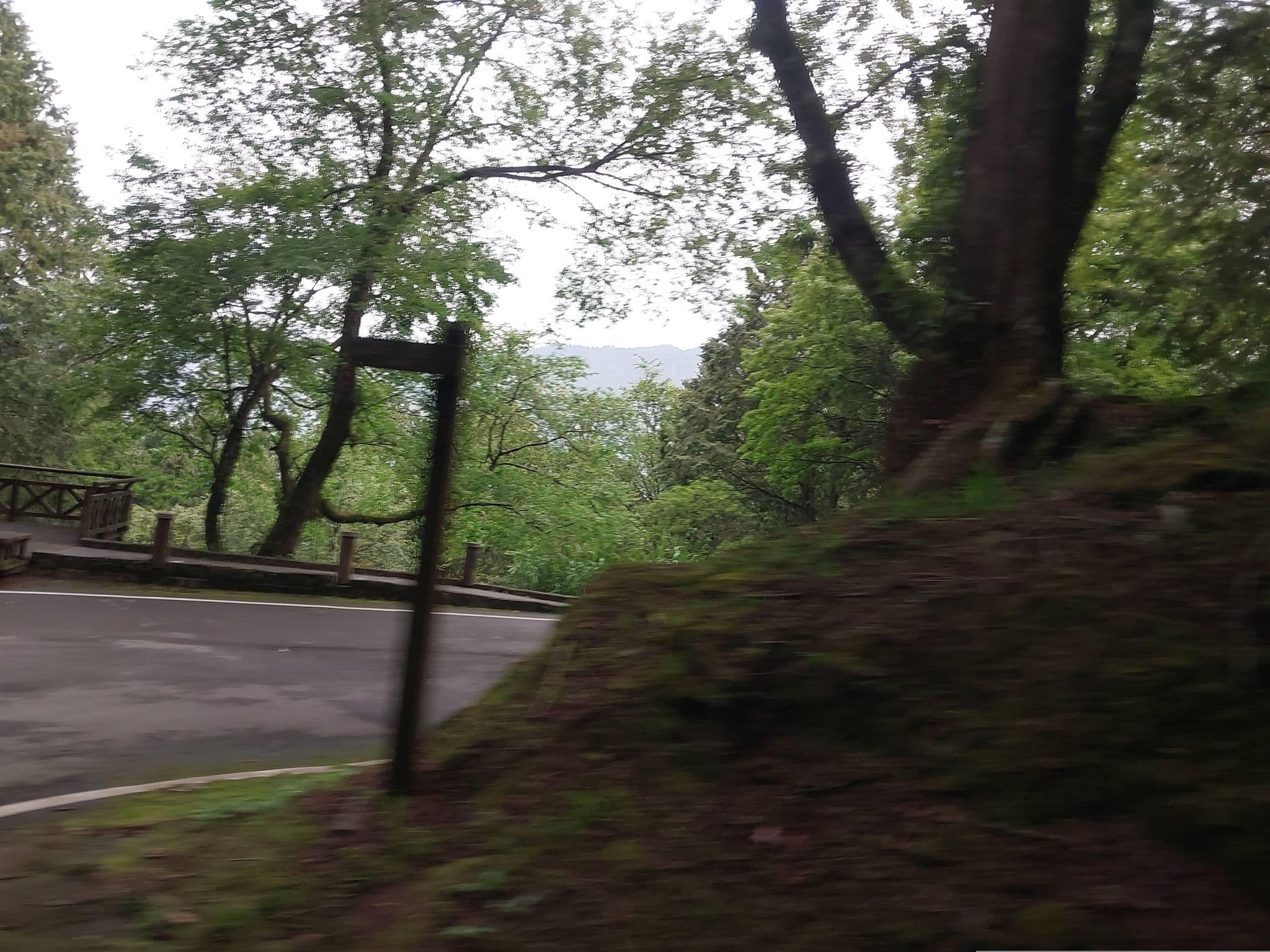 Street view near 阿里山香林村, Lugu — © ChenJJ (CC BY-SA · Mapillary)