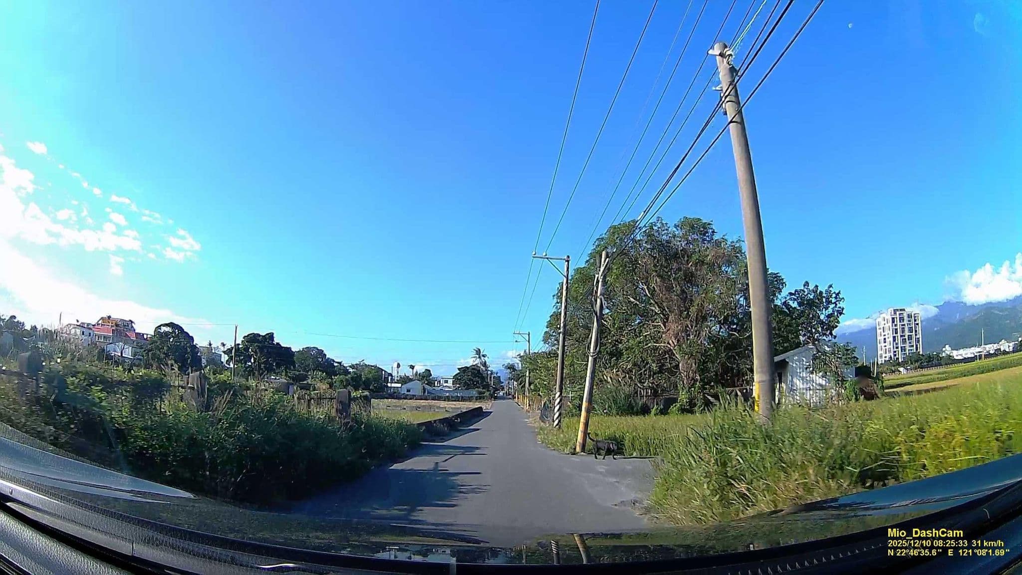 Street view near 肉骨頭寵物渡假小屋, Taitung — © hcyen (CC BY-SA · Mapillary)