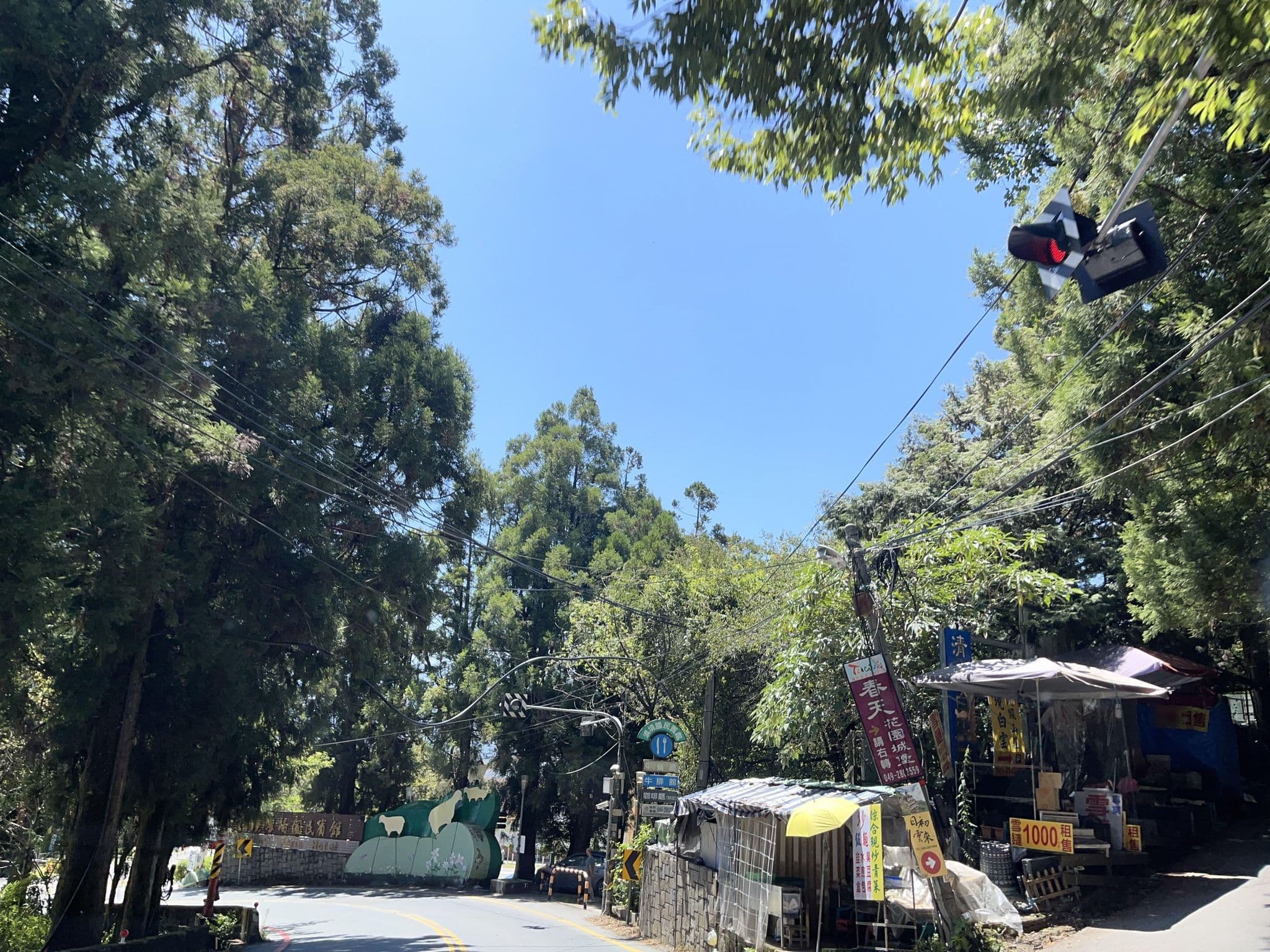 Street view near 清境空中花園, Puli — © pty11111 (CC BY-SA · Mapillary)