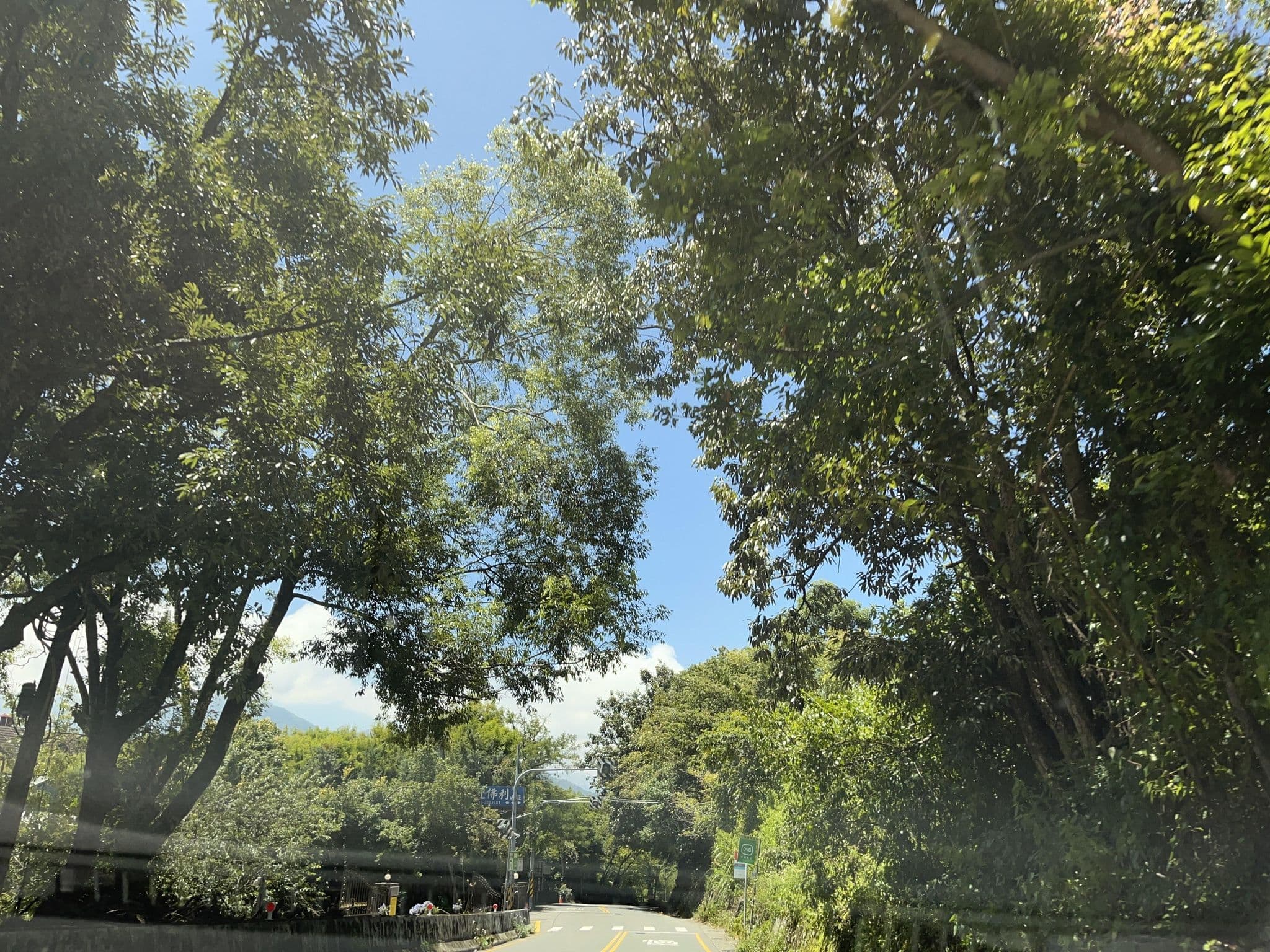 Street view near 清境普羅旺斯玫瑰莊園 Provence Rose Lodge in Ching Jing, Puli — © pty11111 (CC BY-SA · Mapillary)