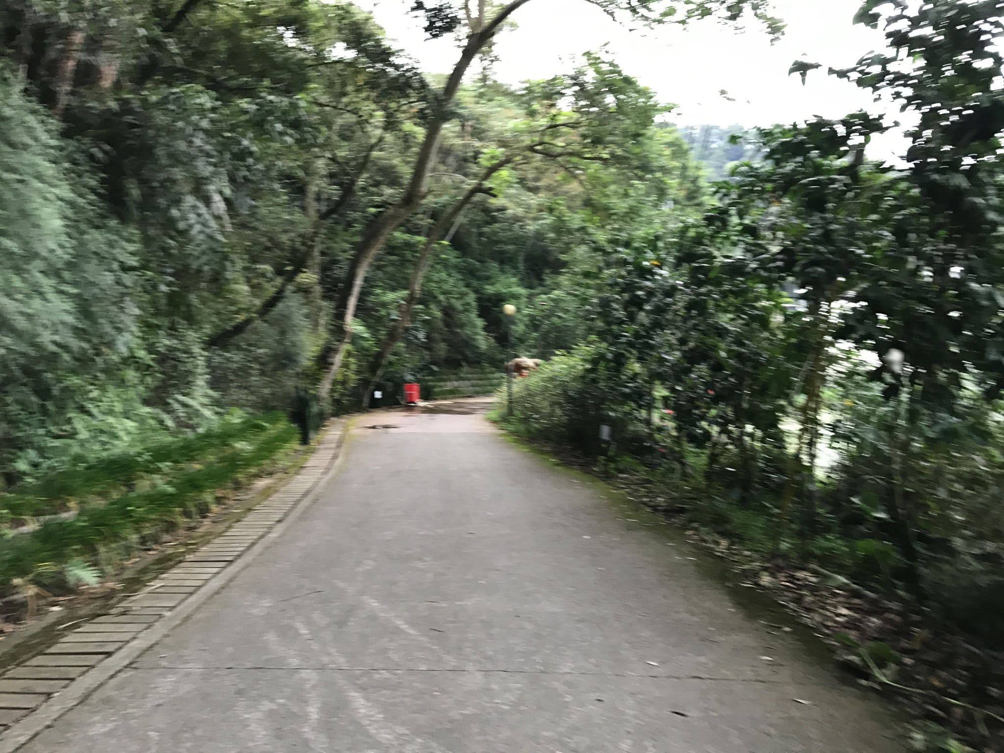 Street view near 湖濱小棧, Puli — © suyuya (CC BY-SA · Mapillary)