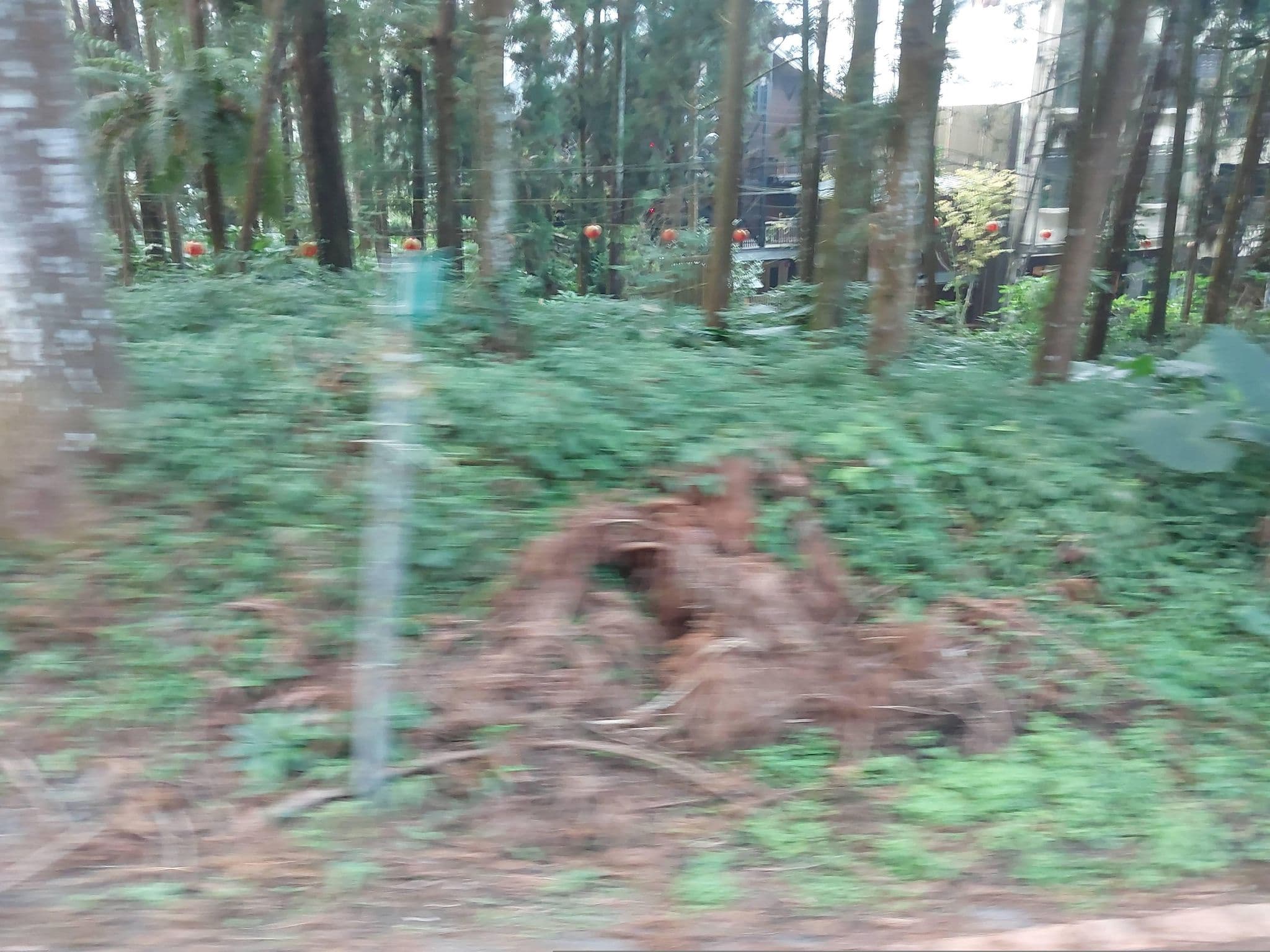 Street view near 7 days 4 seasons 七天四季, Lugu — © ChenJJ (CC BY-SA · Mapillary)
