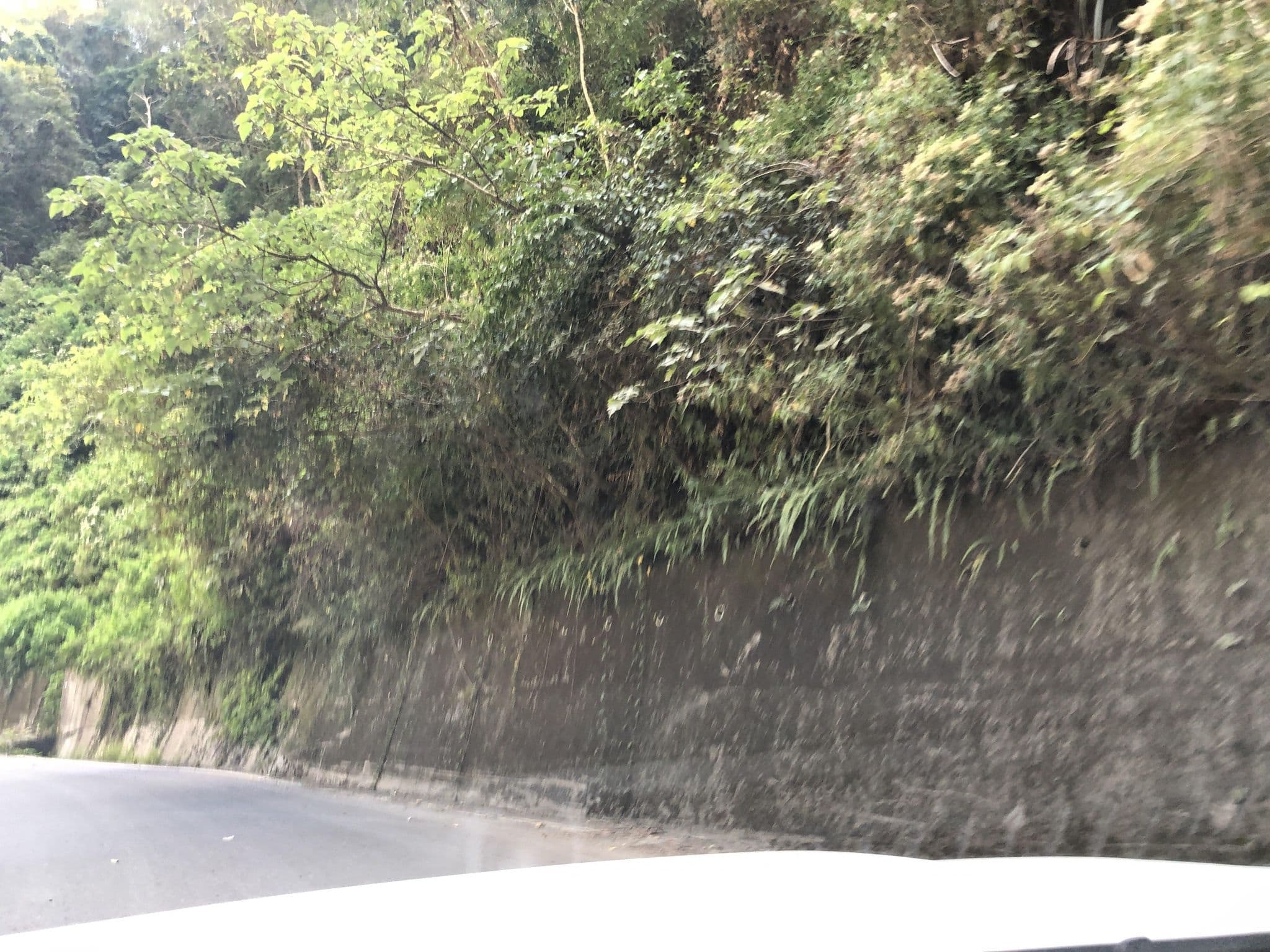 Street view near 香居民宿, Puli — © monica_migu (CC BY-SA · Mapillary)