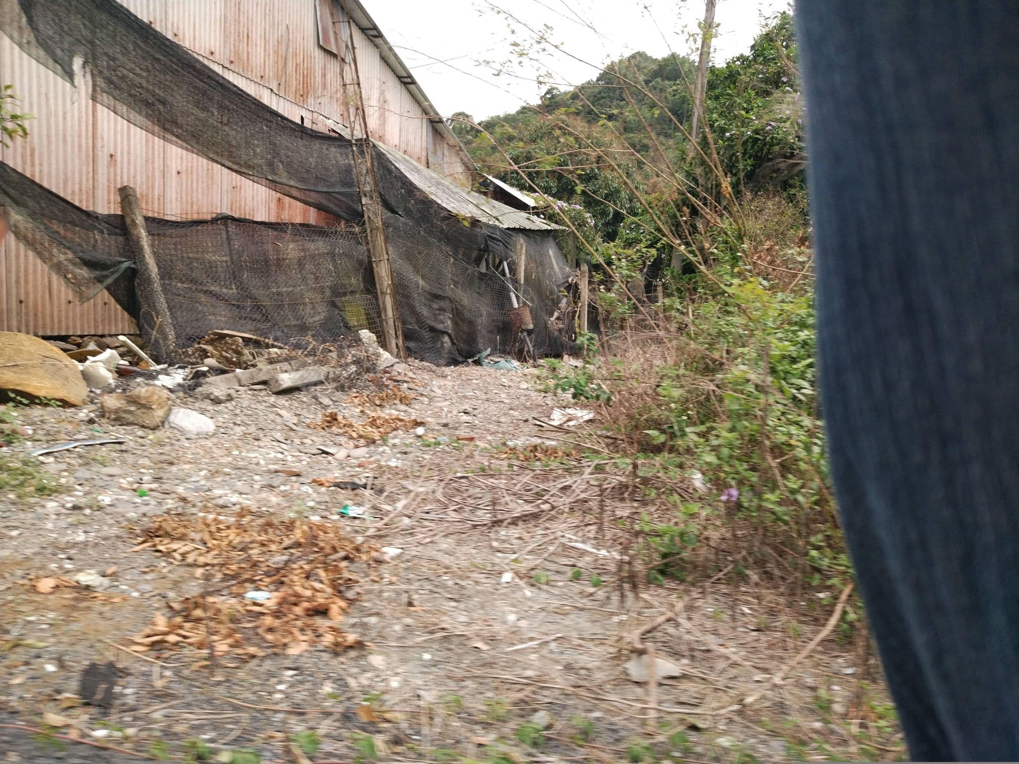 Street view near 彩荷園民宿, Puli — © adsa562 (CC BY-SA · Mapillary)