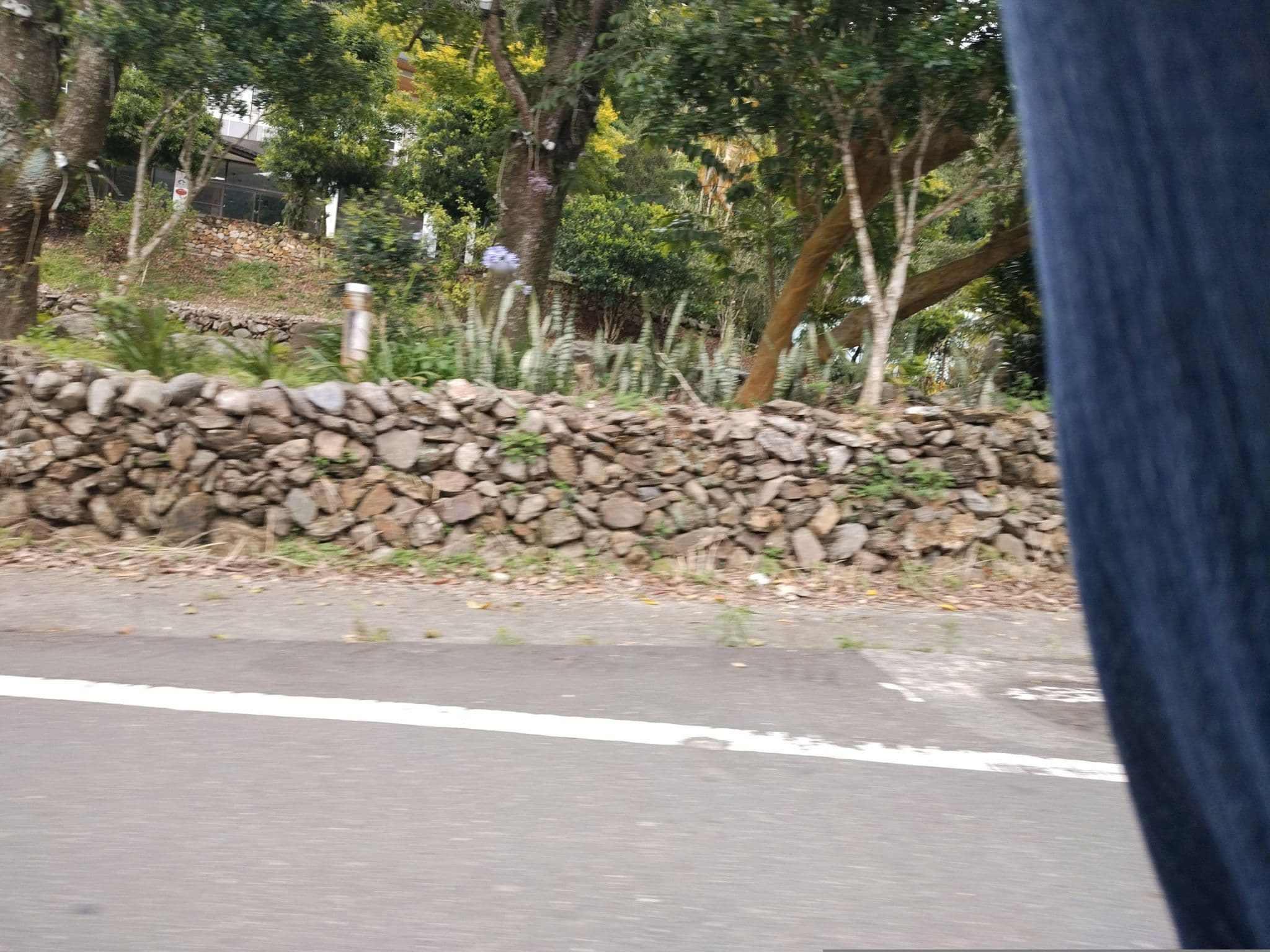 Street view near 七里山瑭民宿, Puli — © adsa562 (CC BY-SA · Mapillary)