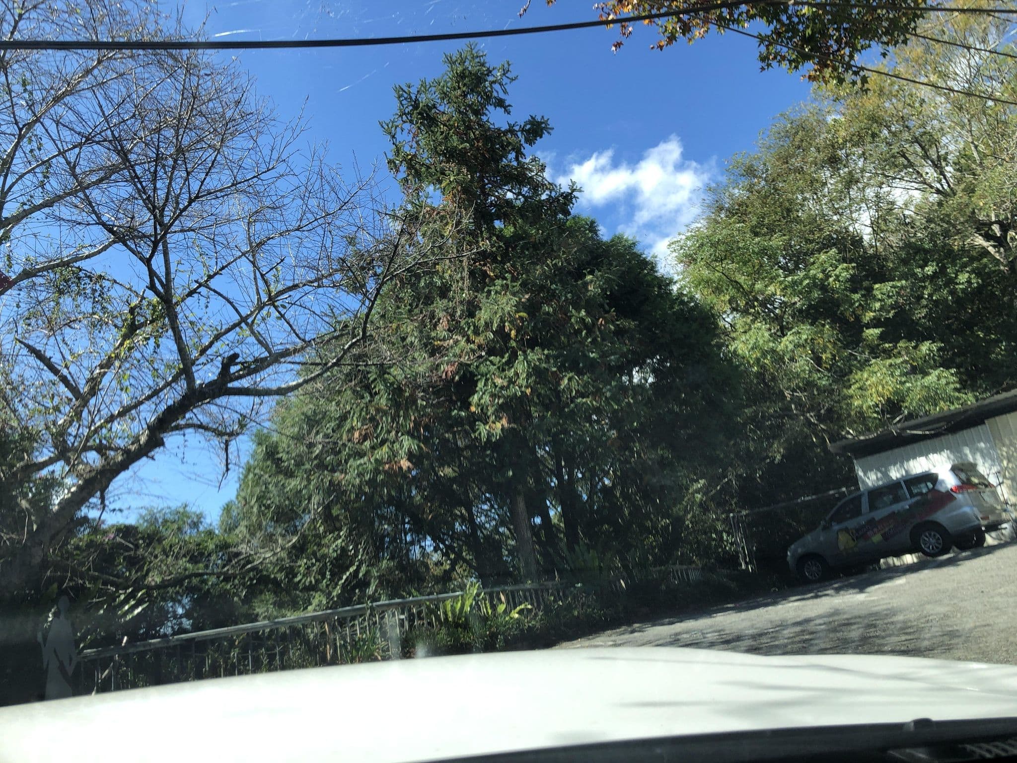Street view near 山居民宿, Puli — © monica_migu (CC BY-SA · Mapillary)