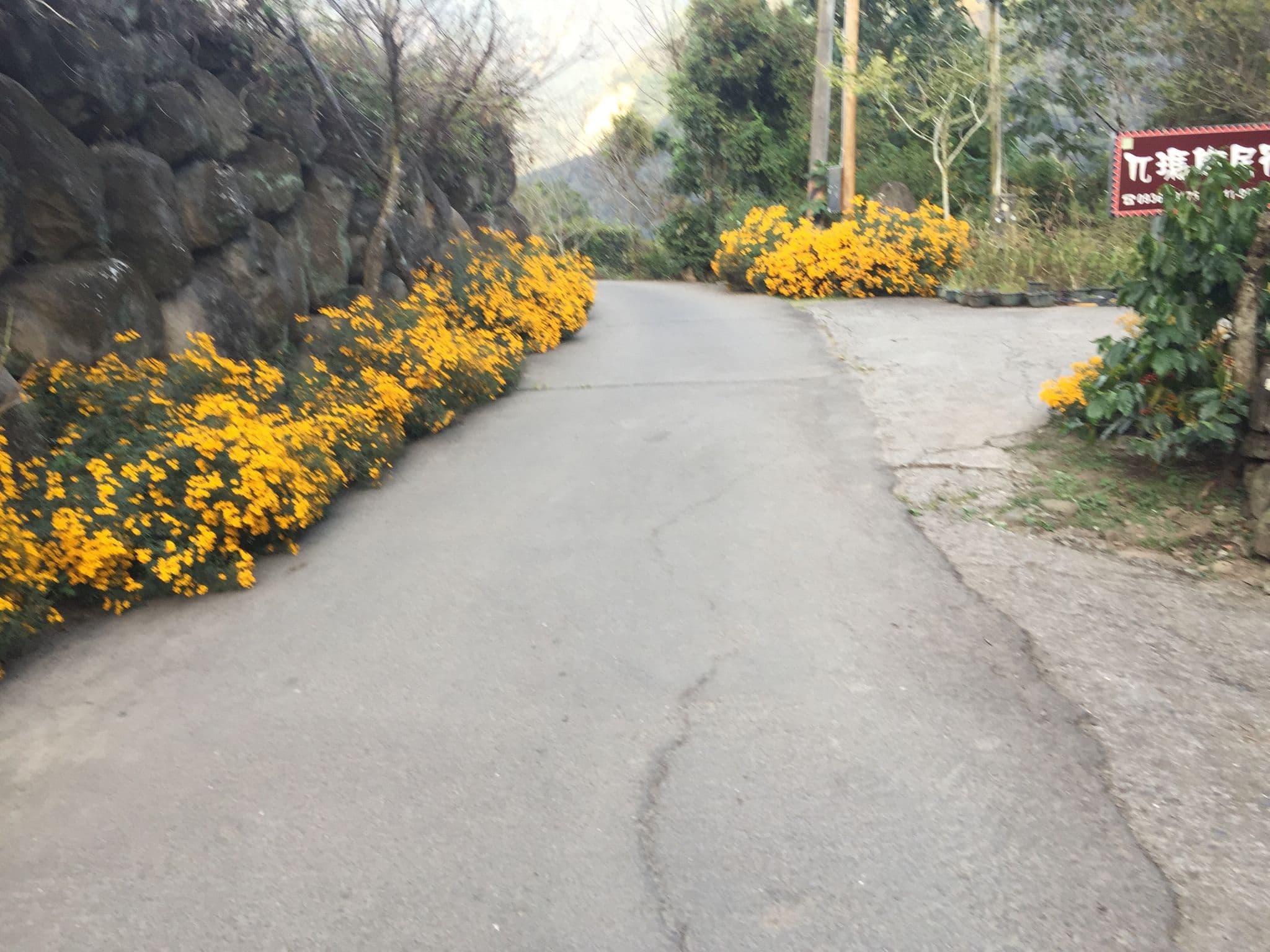 Street view near 兀瑪斯, Lugu — © minazg (CC BY-SA · Mapillary)