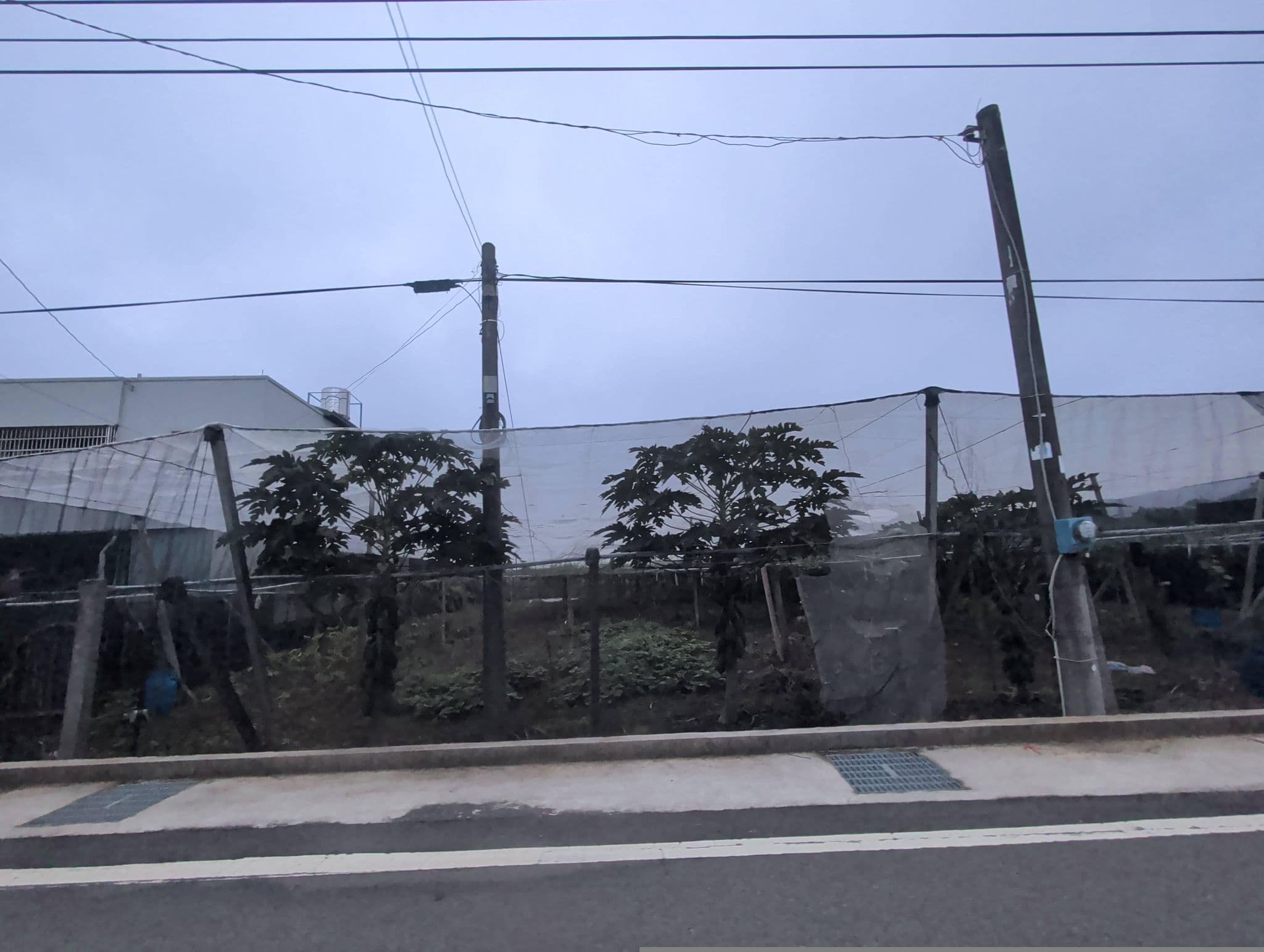 Street view near 馨舍民宿, Xizhou — © brlin (CC BY-SA · Mapillary)