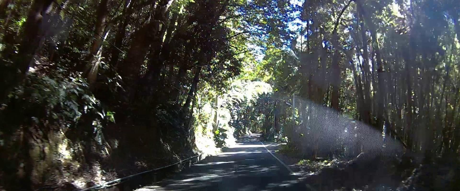 Street view near 愛林山居, Xizhou — © pty11111 (CC BY-SA · Mapillary)