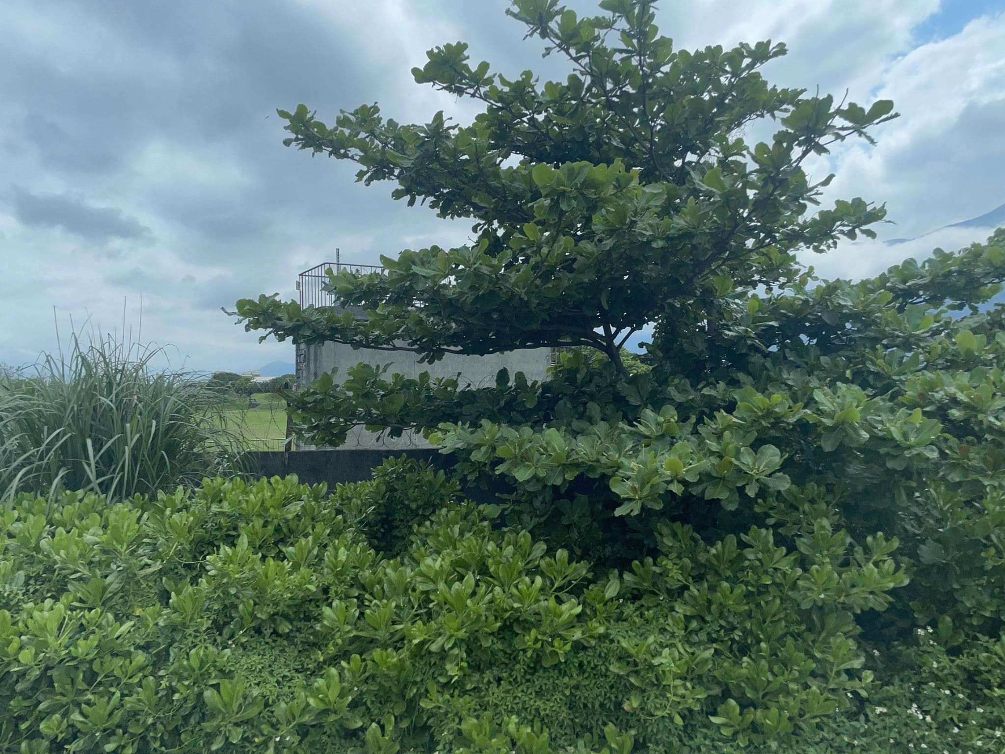 Street view near 七星潭月牙灣套房, Hualien City — © ChenJJ (CC BY-SA · Mapillary)