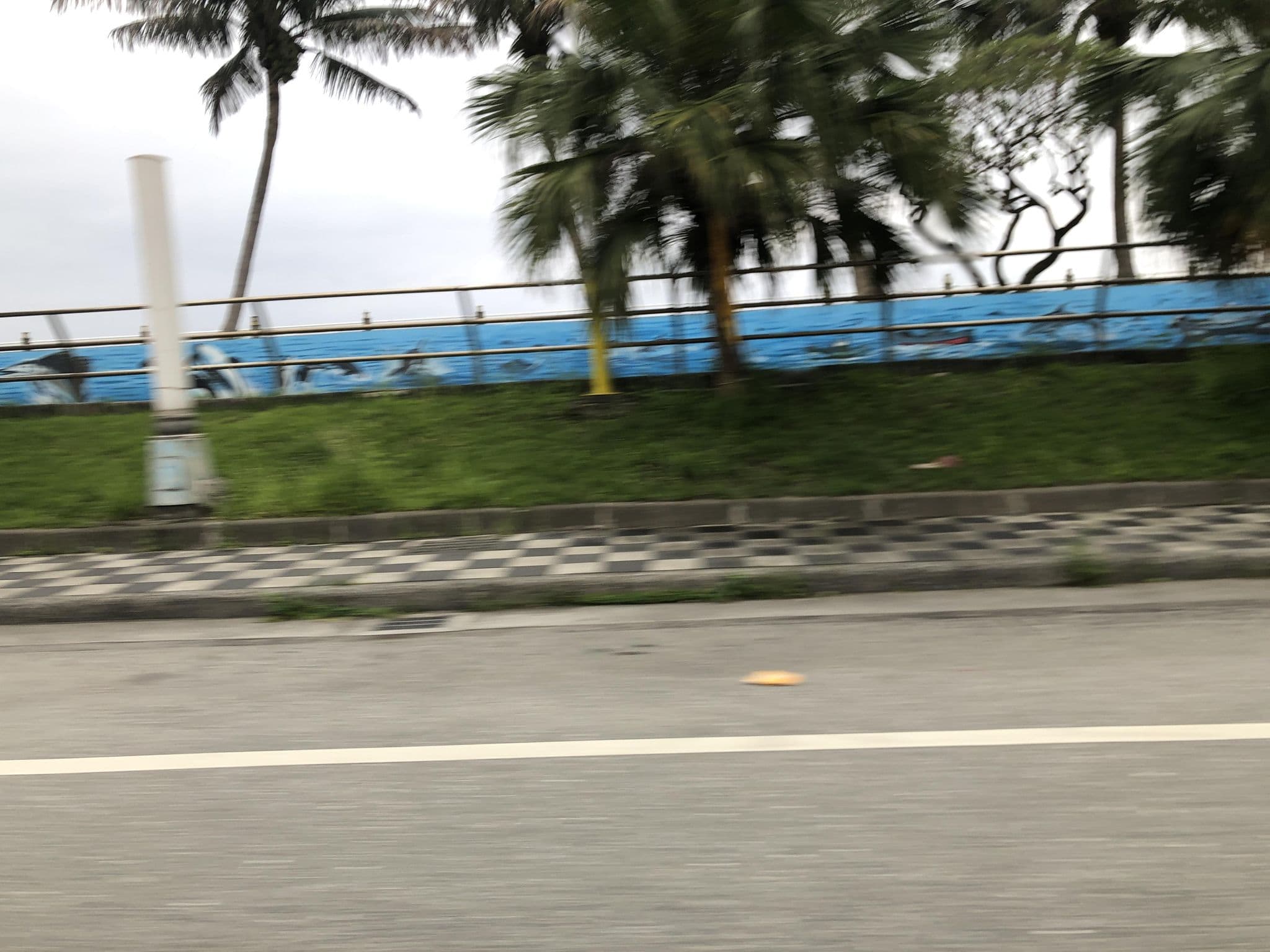 Street view near 白色沙滩民宿, Hualien City — © monica_migu (CC BY-SA · Mapillary)