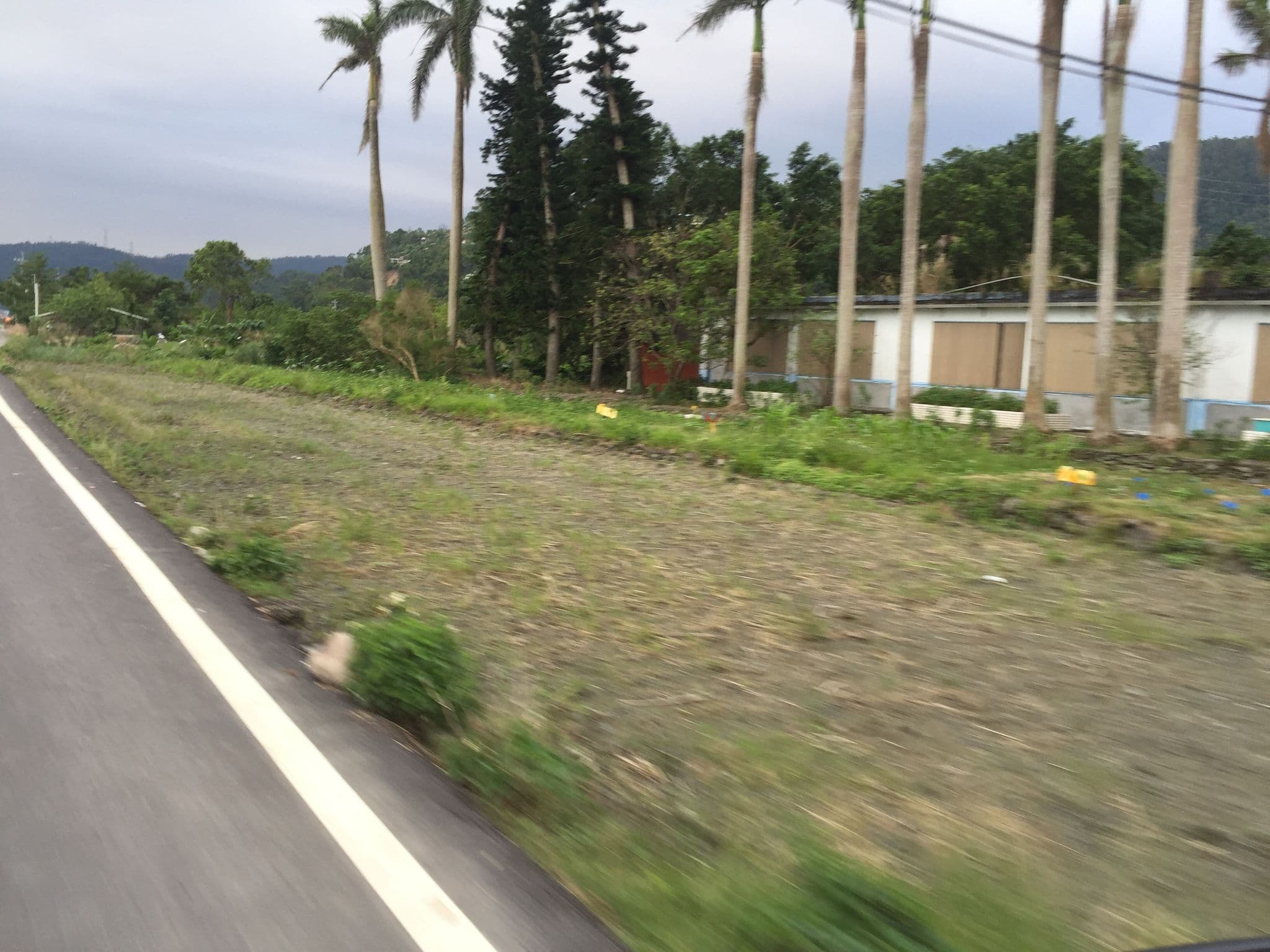 Street view near 四季園, Yilan — © b10423051 (CC BY-SA · Mapillary)
