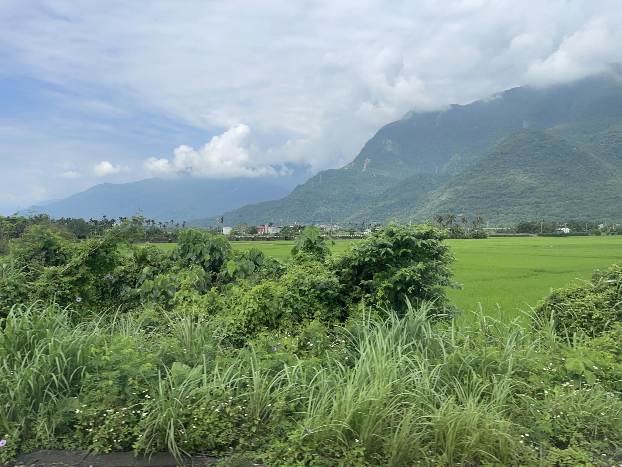 Street view near 法蘭克莊園, Hualien City — © ChenJJ (CC BY-SA · Mapillary)