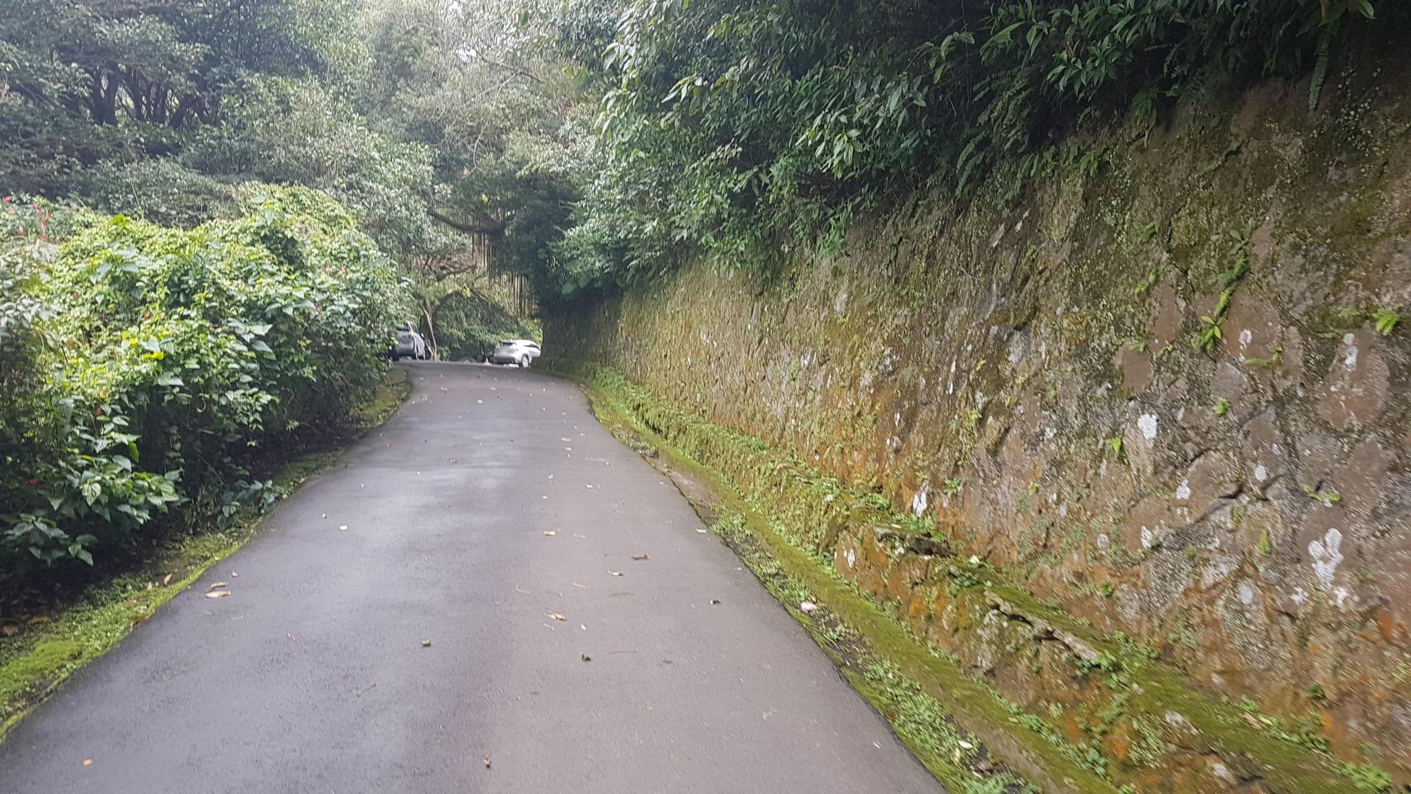 Street view near Japanese Guest House, Neihu — © supaplex (CC BY-SA · Mapillary)