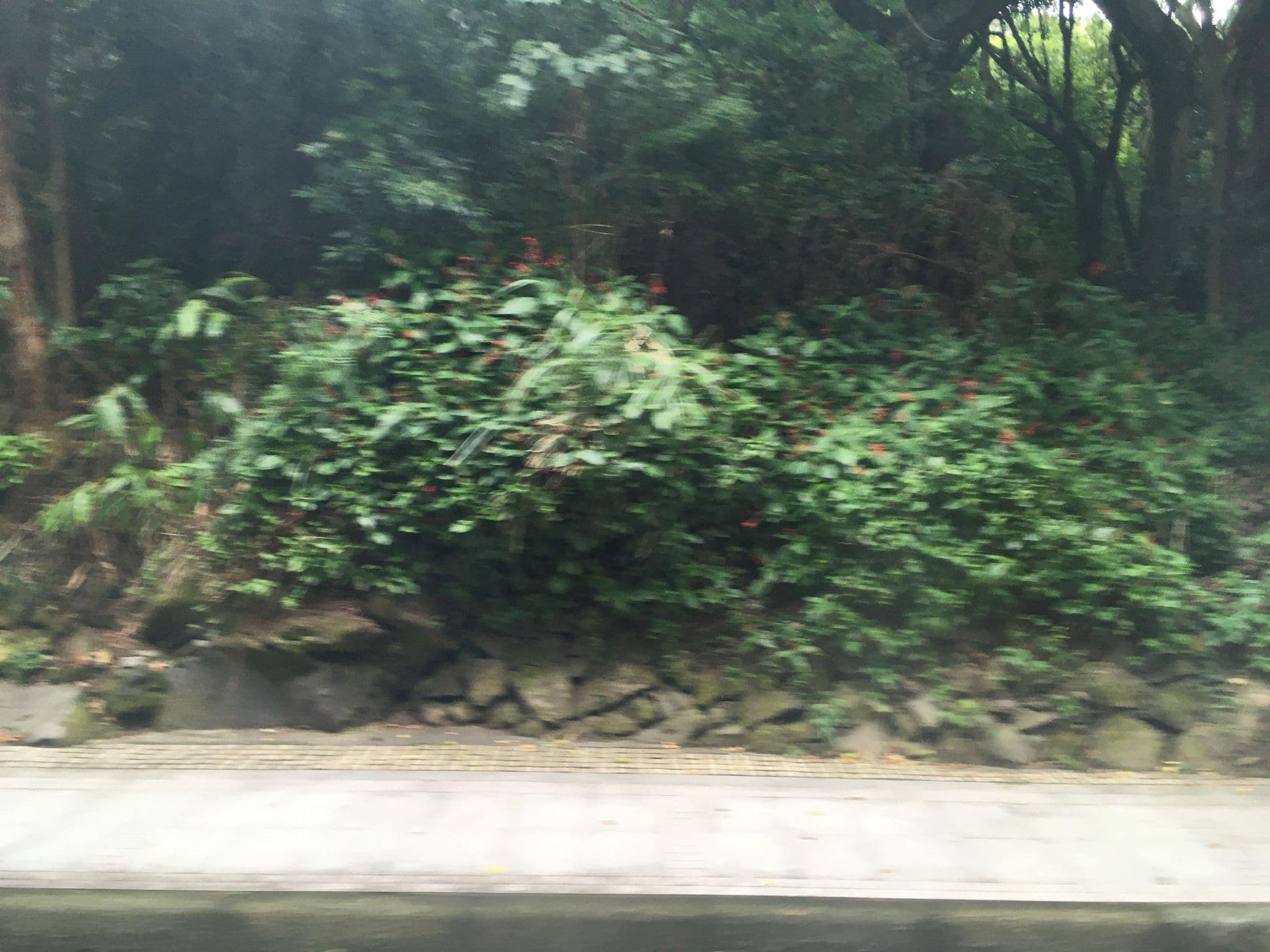 Street view near 國際大旅館, Neihu — © ChenJJ (CC BY-SA · Mapillary)
