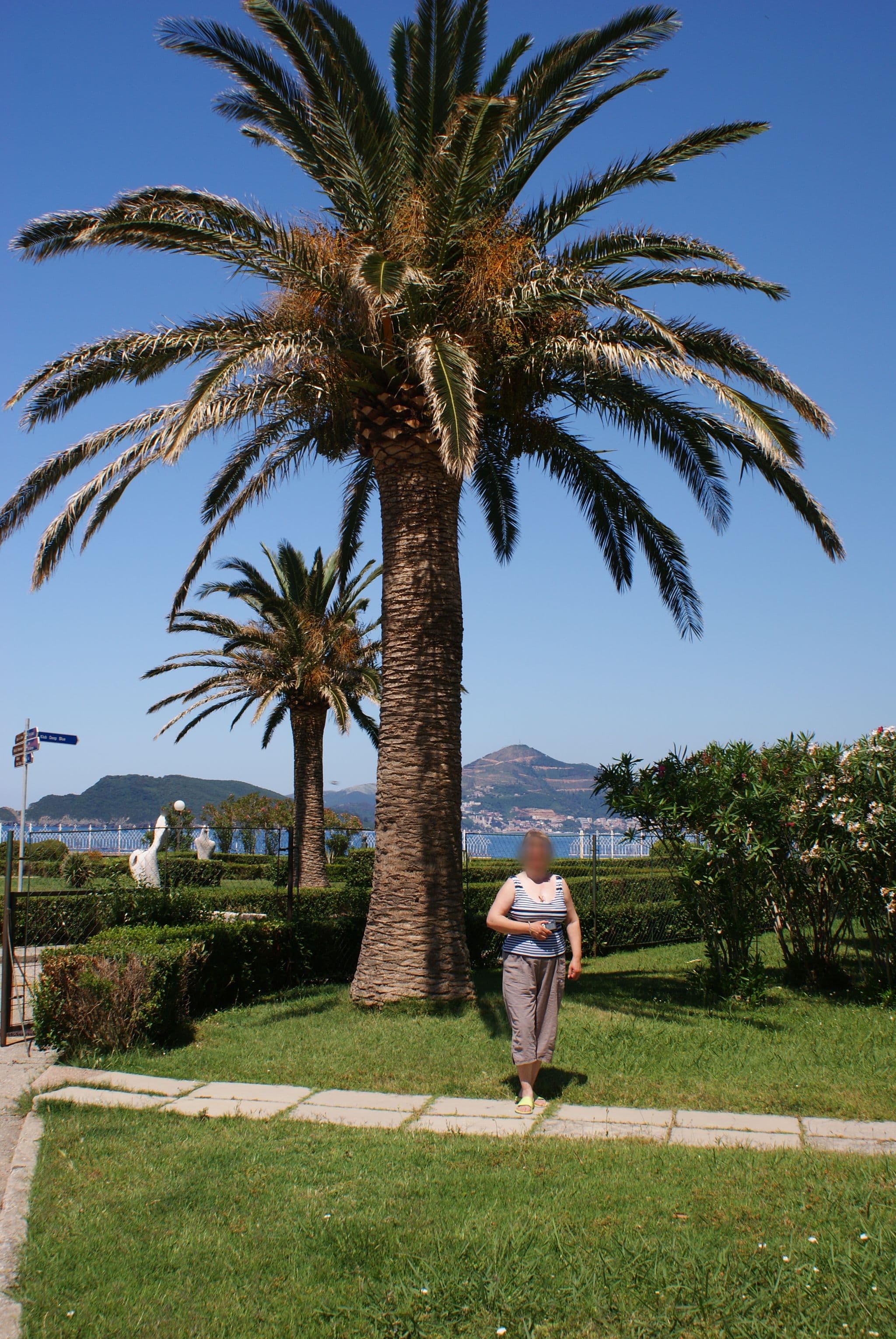 Street view near Agora, Budva — © allefm (CC BY-SA · Mapillary)