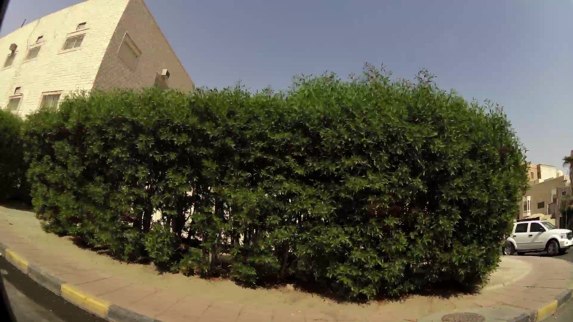 Street view near فراشي, Al Jahrā’ — © kaartcam (CC BY-SA · Mapillary)