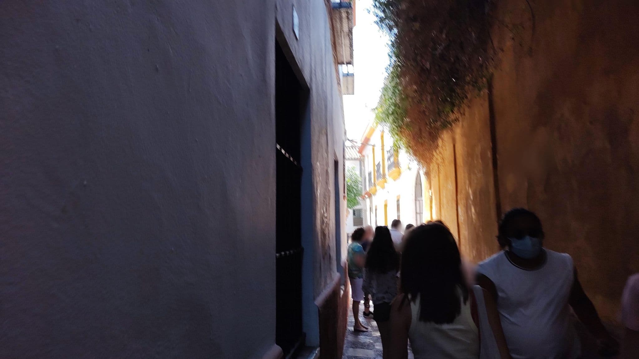 Street view near Apartamentos Boutique Vida Sevilla, Sevilla — © rsandu (CC BY-SA · Mapillary)