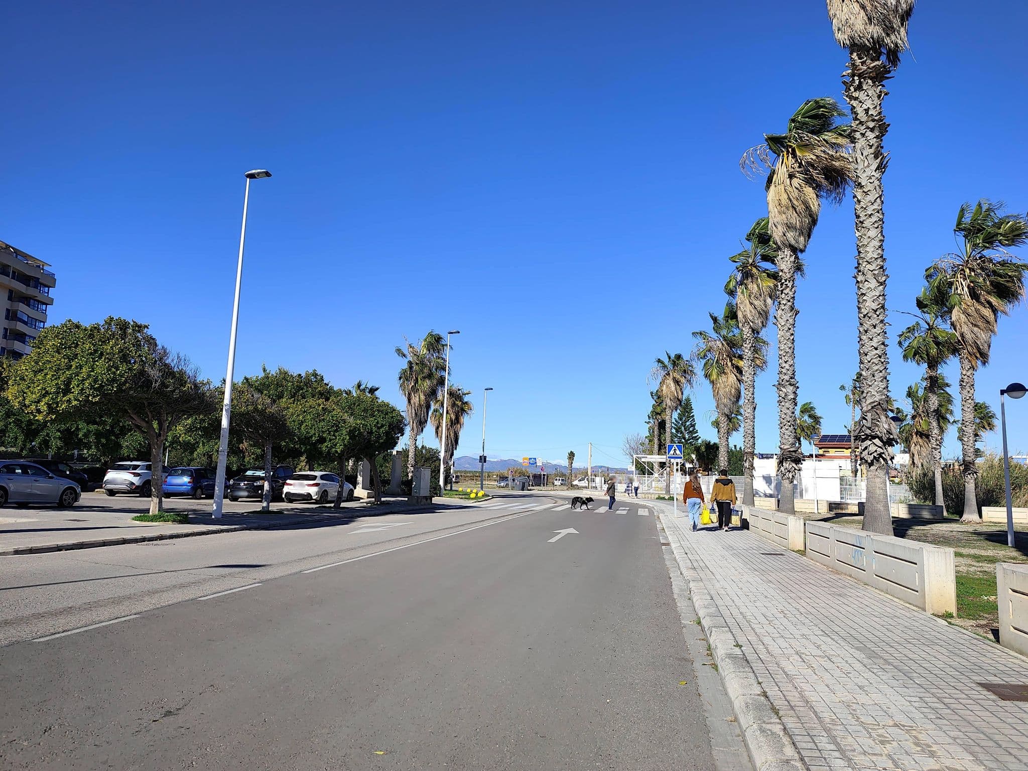 Street view near Patacona Resort, Alboraya — © Duro (CC BY-SA · Mapillary)