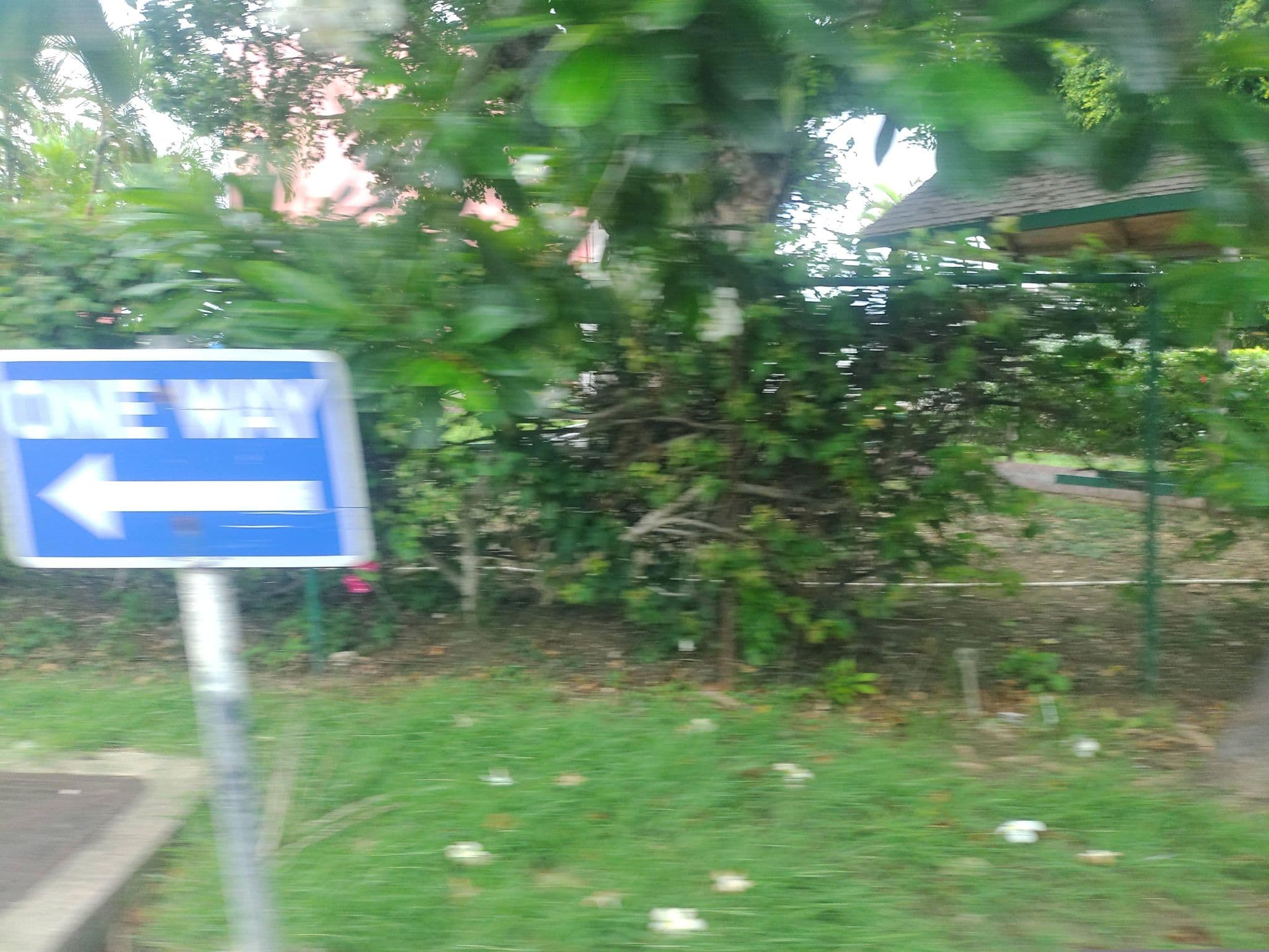 Street view near Rio Guesthouse, Oistins — © mapeadora (CC BY-SA · Mapillary)