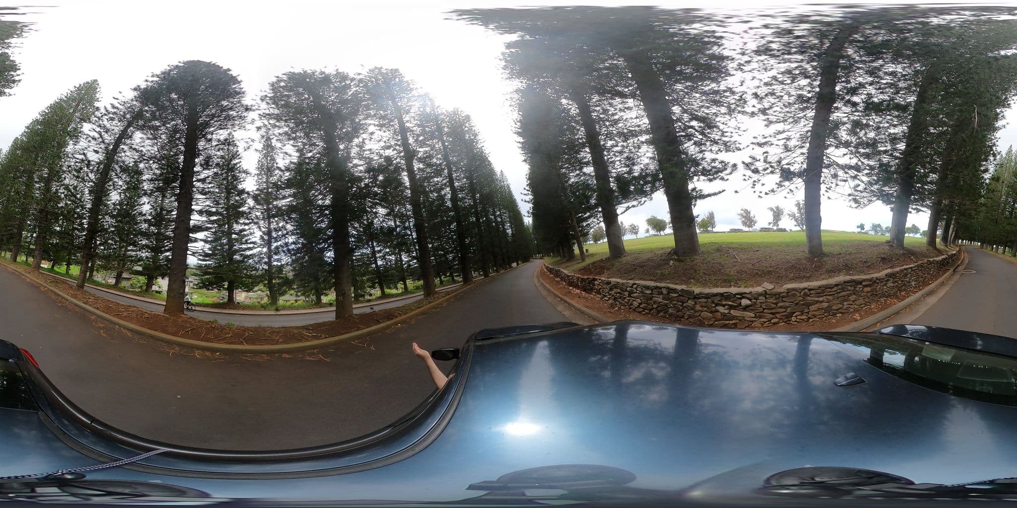 Street view near Kapalua Villas, Napili-Honokowai — © eneerhut (CC BY-SA · Mapillary)