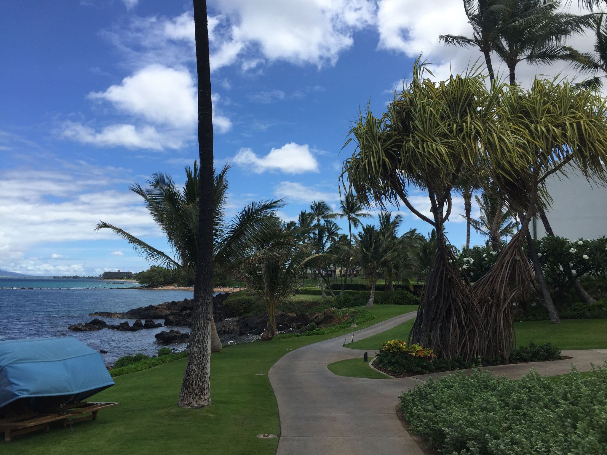 Street view near hammock with the love of my life, Wailea — © till (CC BY-SA · Mapillary)