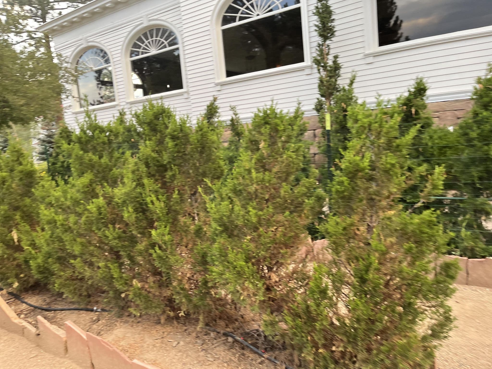 Street view near Room 102, Estes Park — © Octiwhale (CC BY-SA · Mapillary)