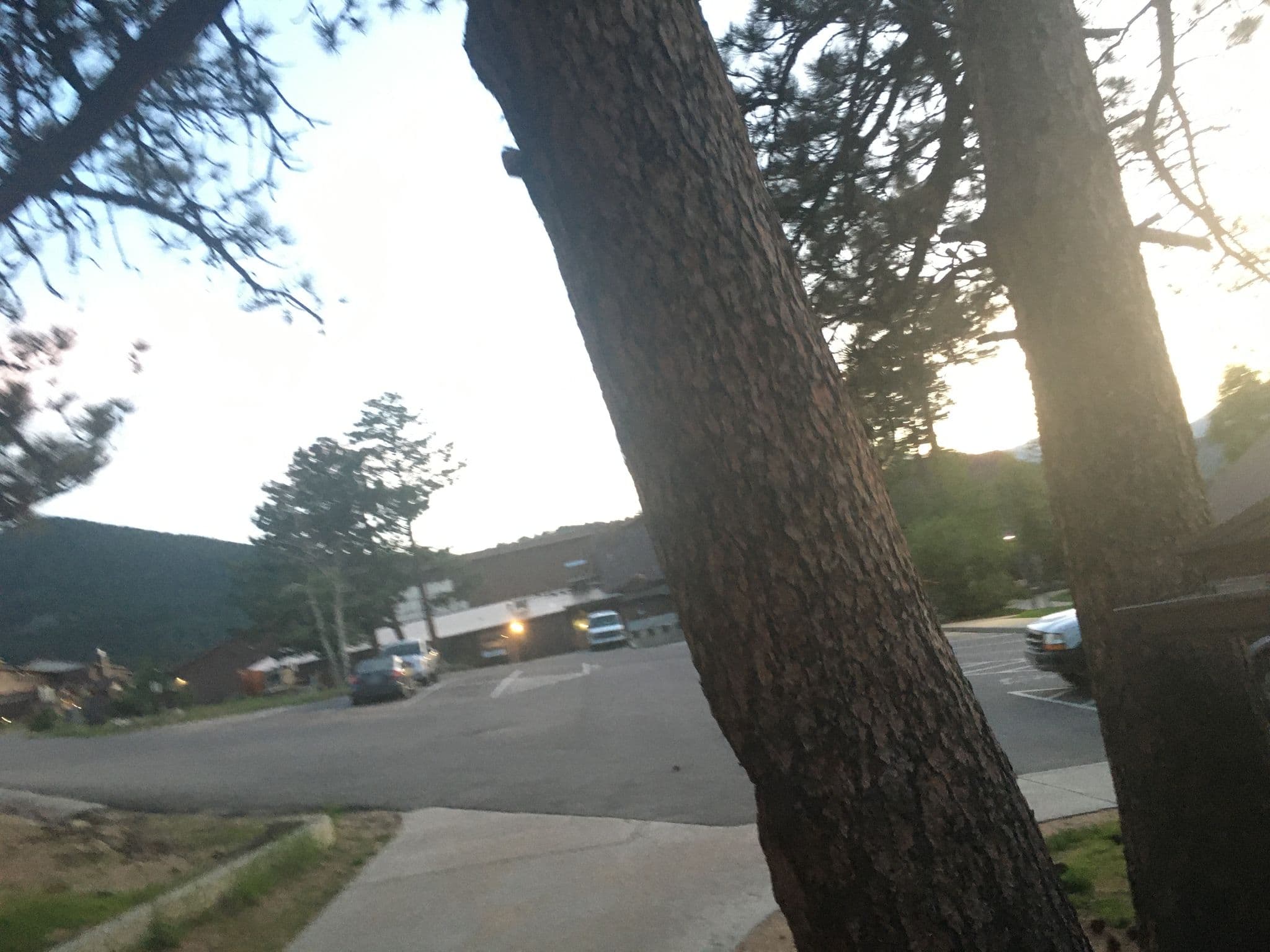 Street view near YMCA of the Rockies, Estes Park — © hereitgoes (CC BY-SA · Mapillary)