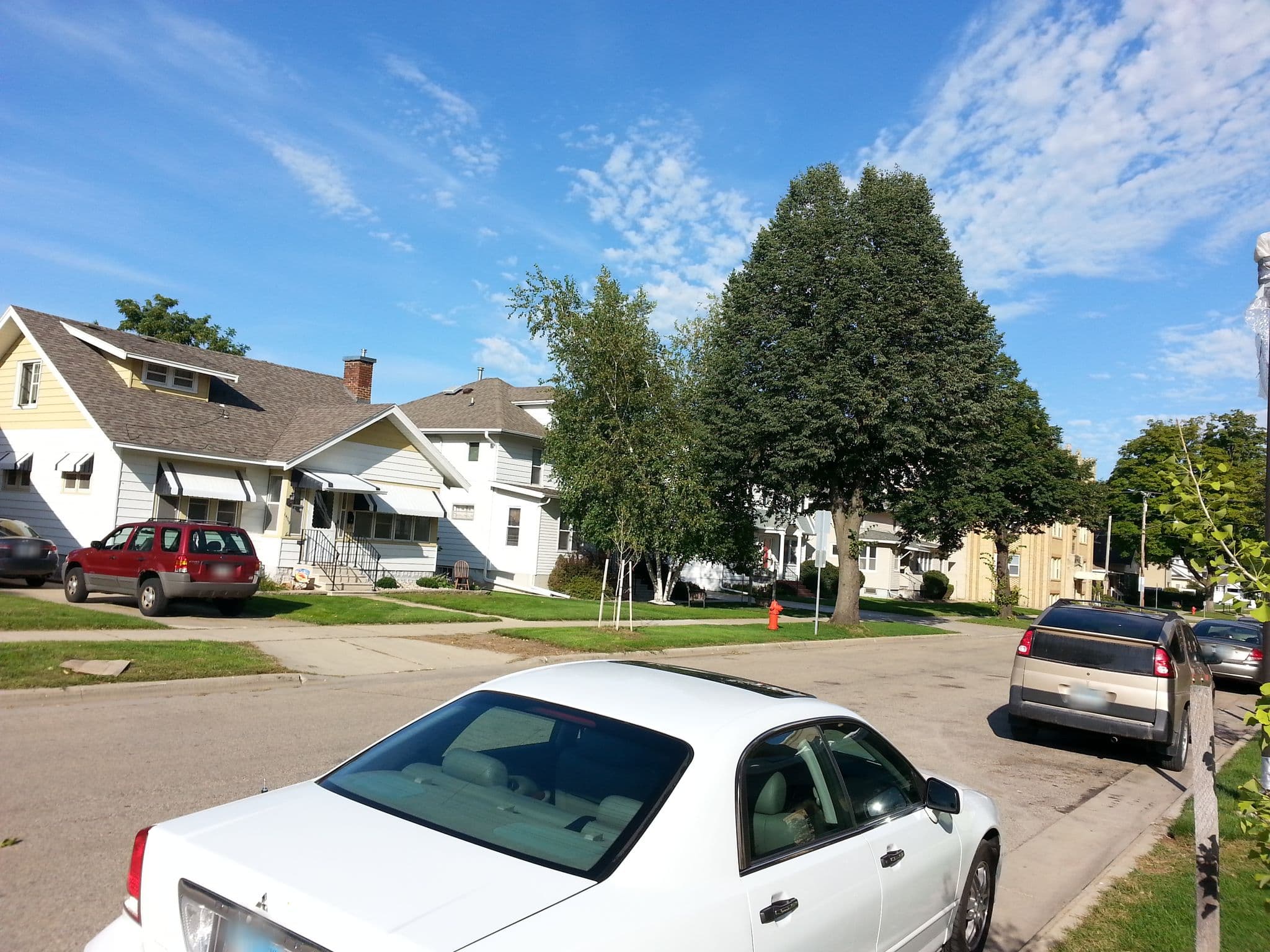 Street view near Mennonite Guest Home, Byron — © allen (CC BY-SA · Mapillary)