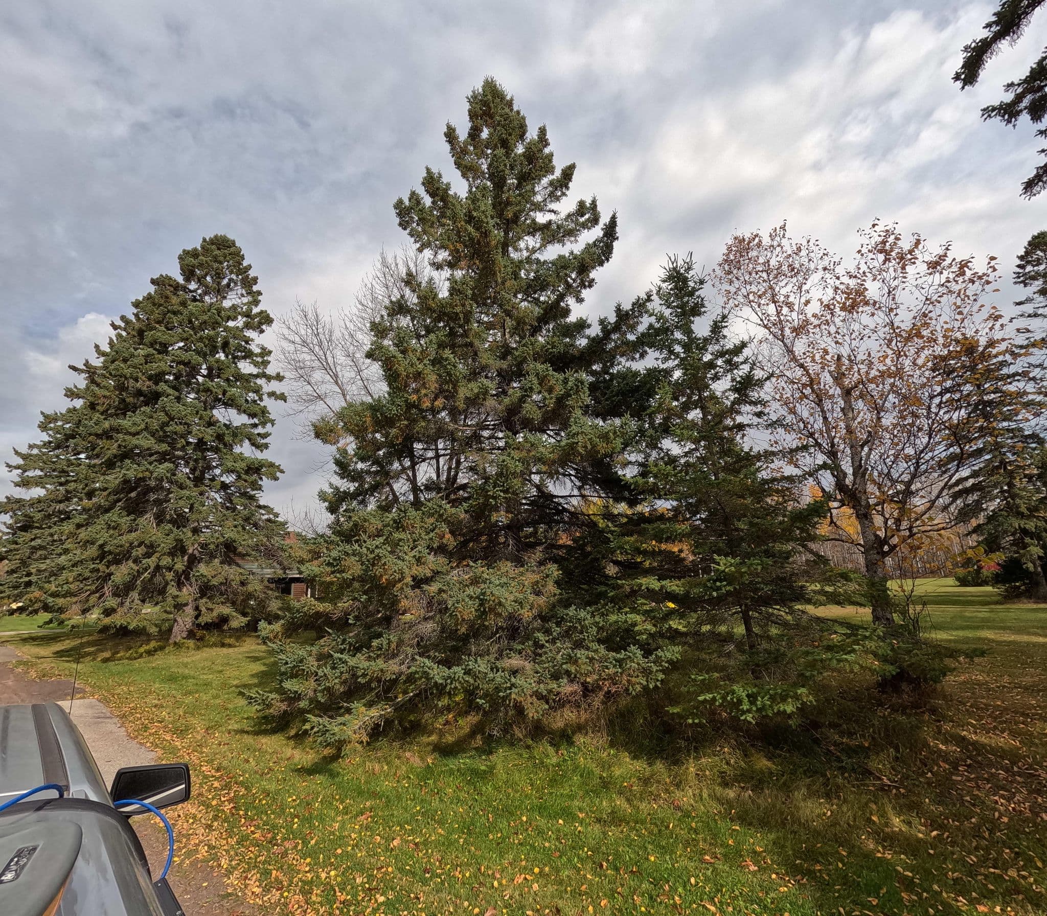 Street view near Lake breeze resort and motel, Duluth — © GIS_ISG (CC BY-SA · Mapillary)