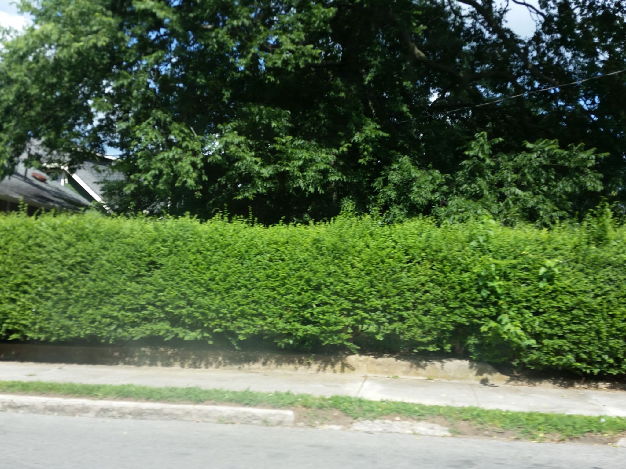 Street view near Boscobel Bungalow, Nashville — © allen (CC BY-SA · Mapillary)