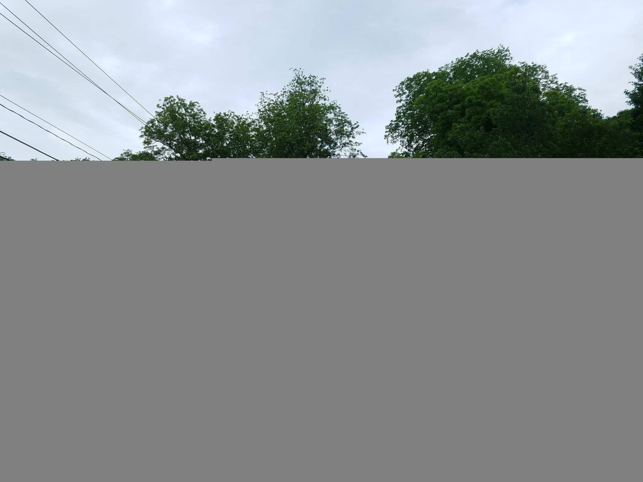 Street view near Historic Worley B&B Inn, Dahlonega — © jackdripper (CC BY-SA · Mapillary)