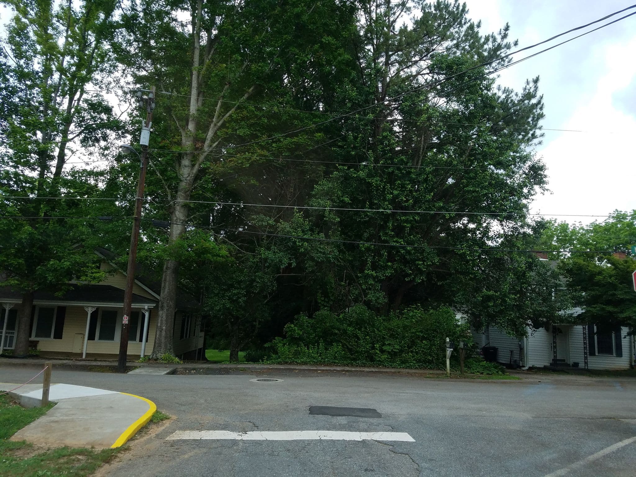 Street view near The Limelight Inn, Dahlonega — © jackdripper (CC BY-SA · Mapillary)
