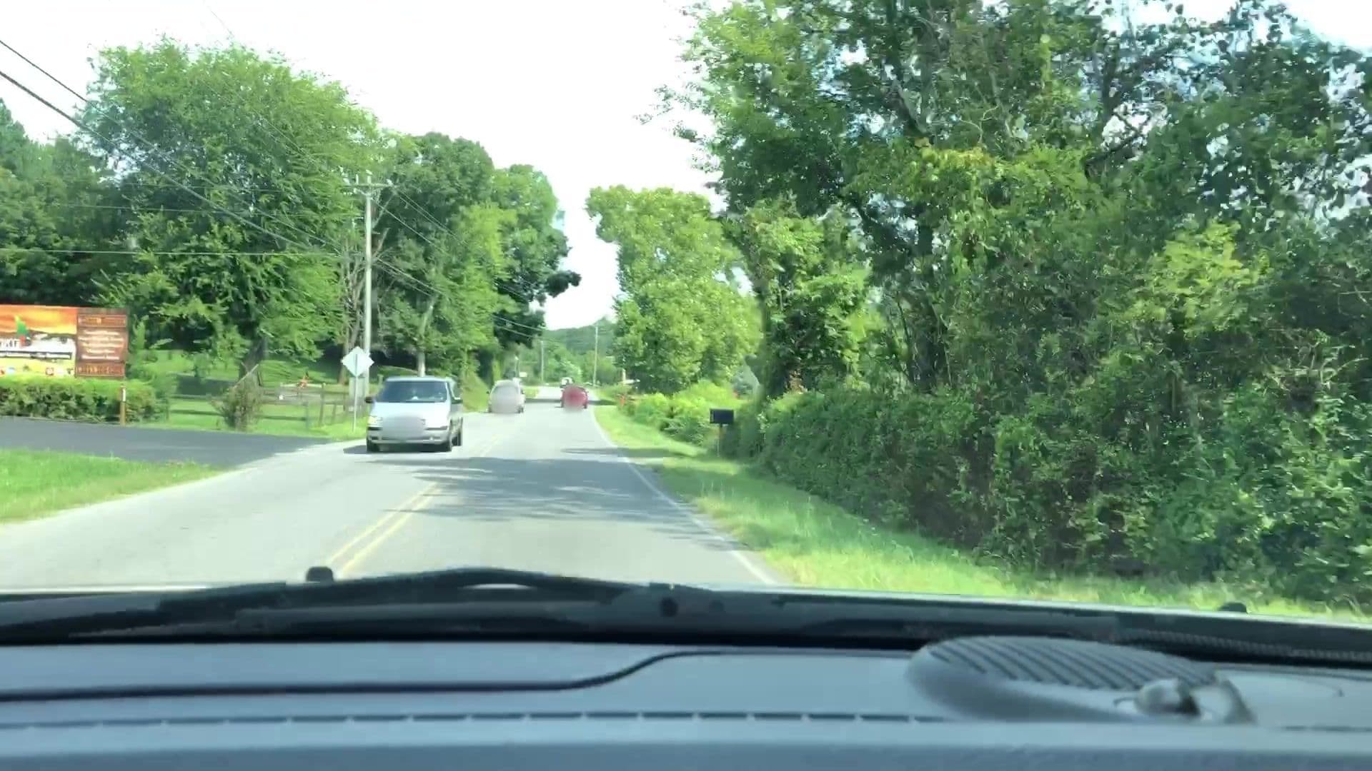 Street view near Bear Tootin Cabin Rentals, Pigeon Forge — © lvl5 (CC BY-SA · Mapillary)