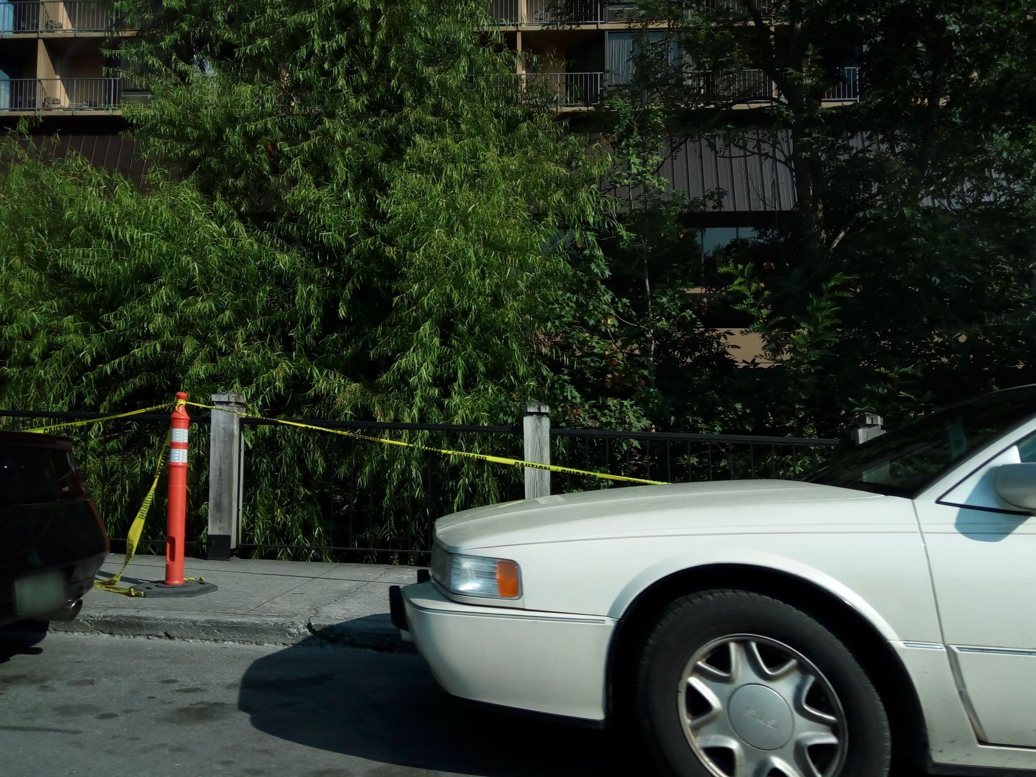 Street view near The Edgewater At The Aquarium, Gatlinburg — © mapfool (CC BY-SA · Mapillary)