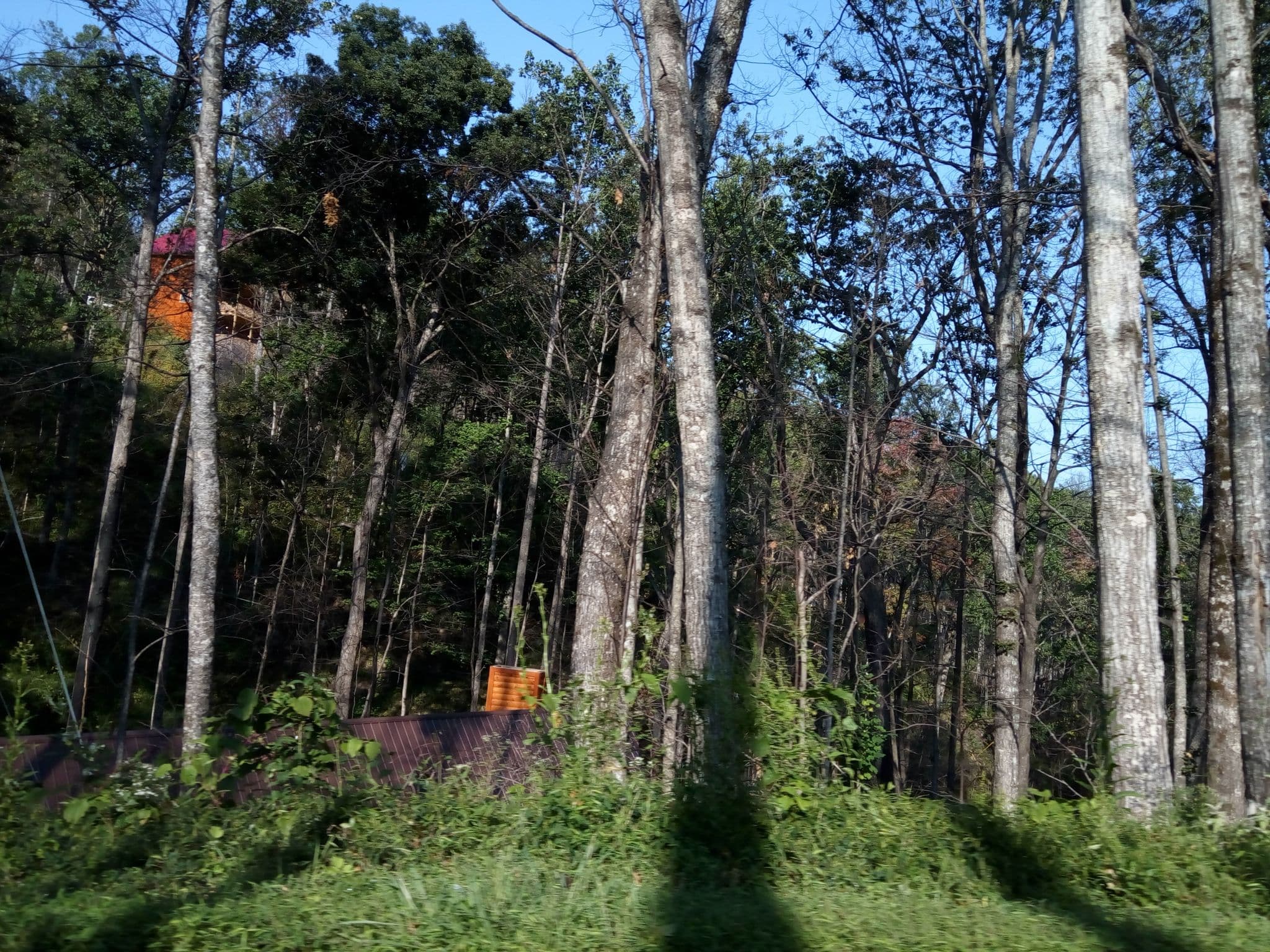 Street view near Among The Pines, Gatlinburg — © mapfool (CC BY-SA · Mapillary)